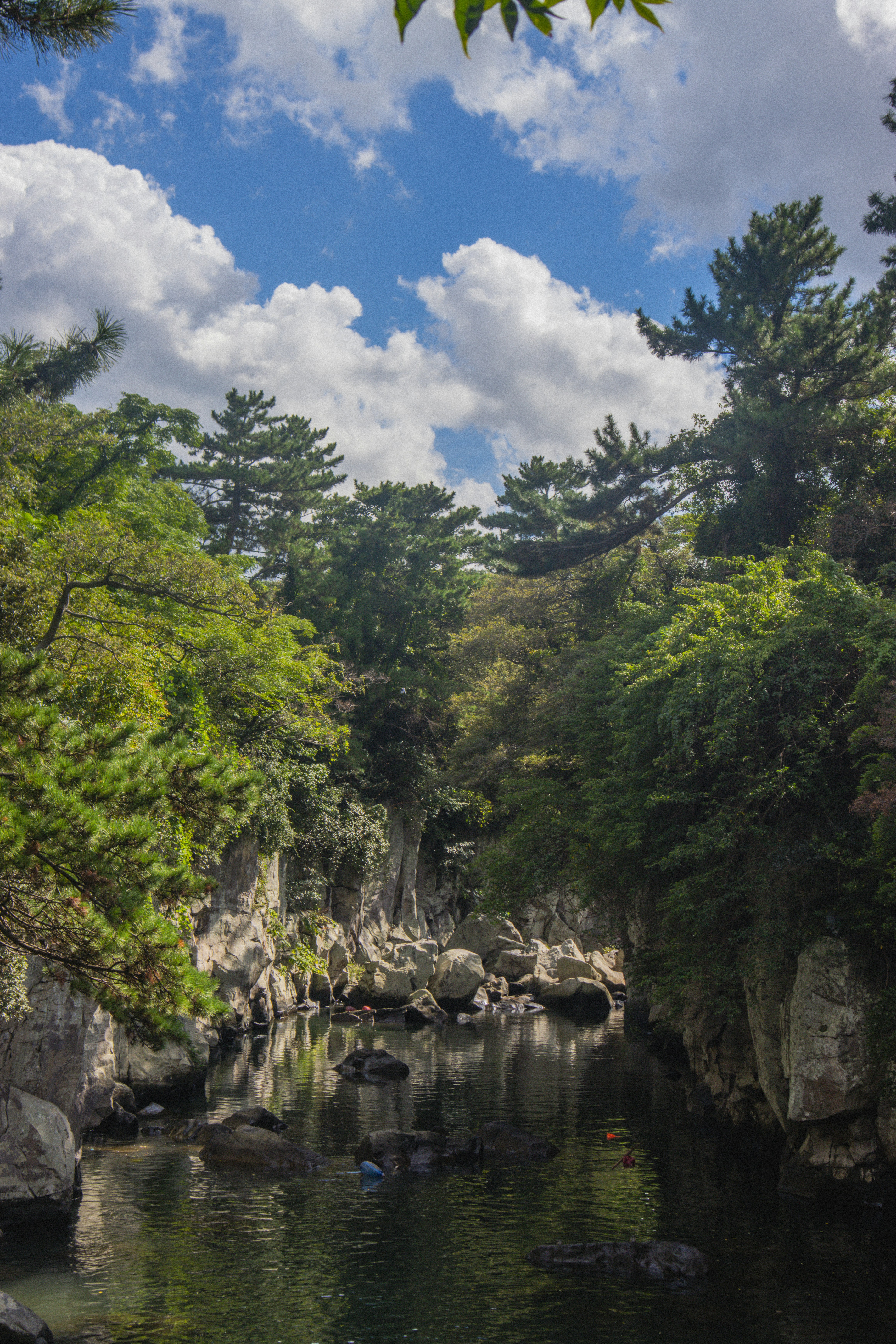 Photo by seoul_lover_lily