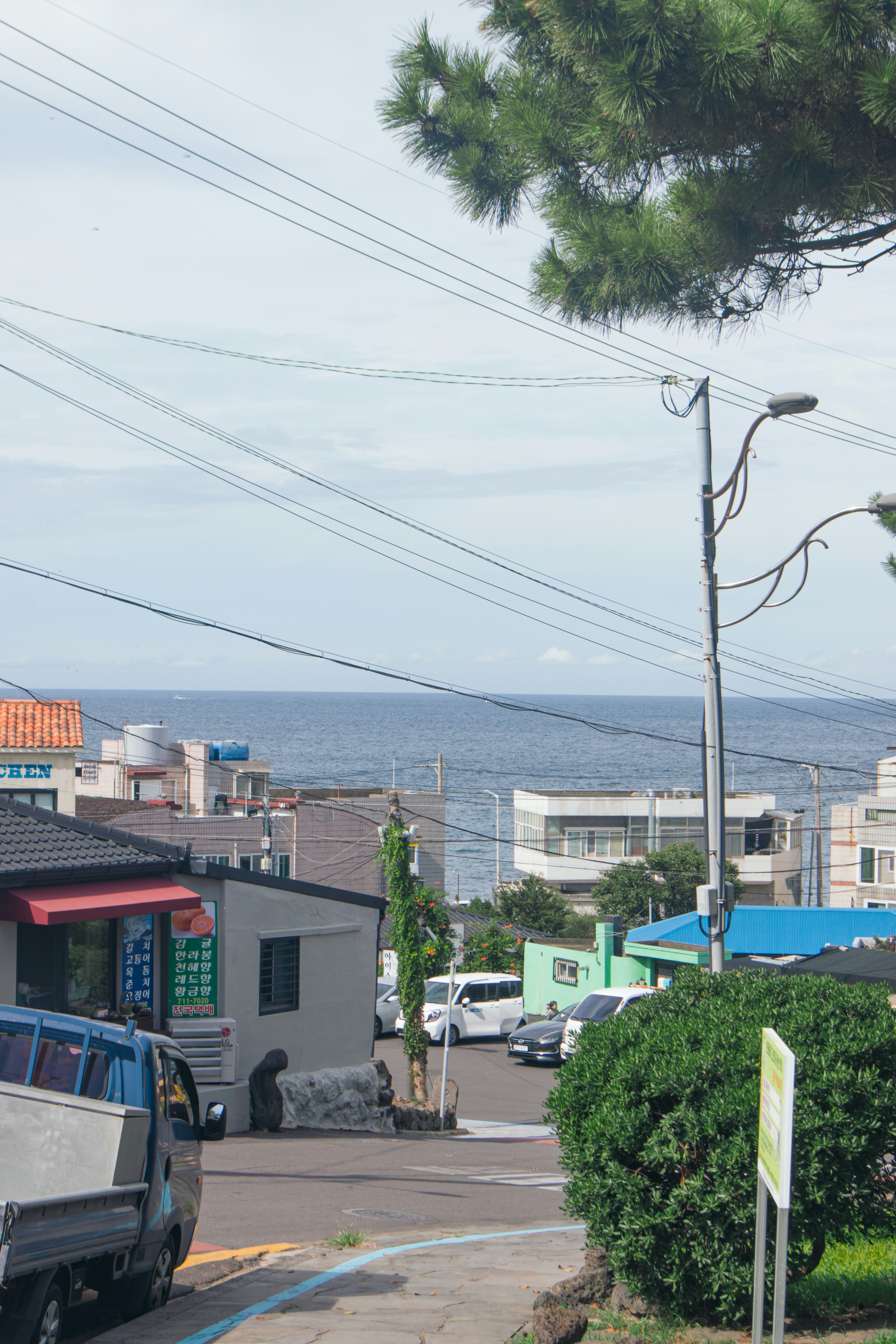 Photo by seoul_lover_lily