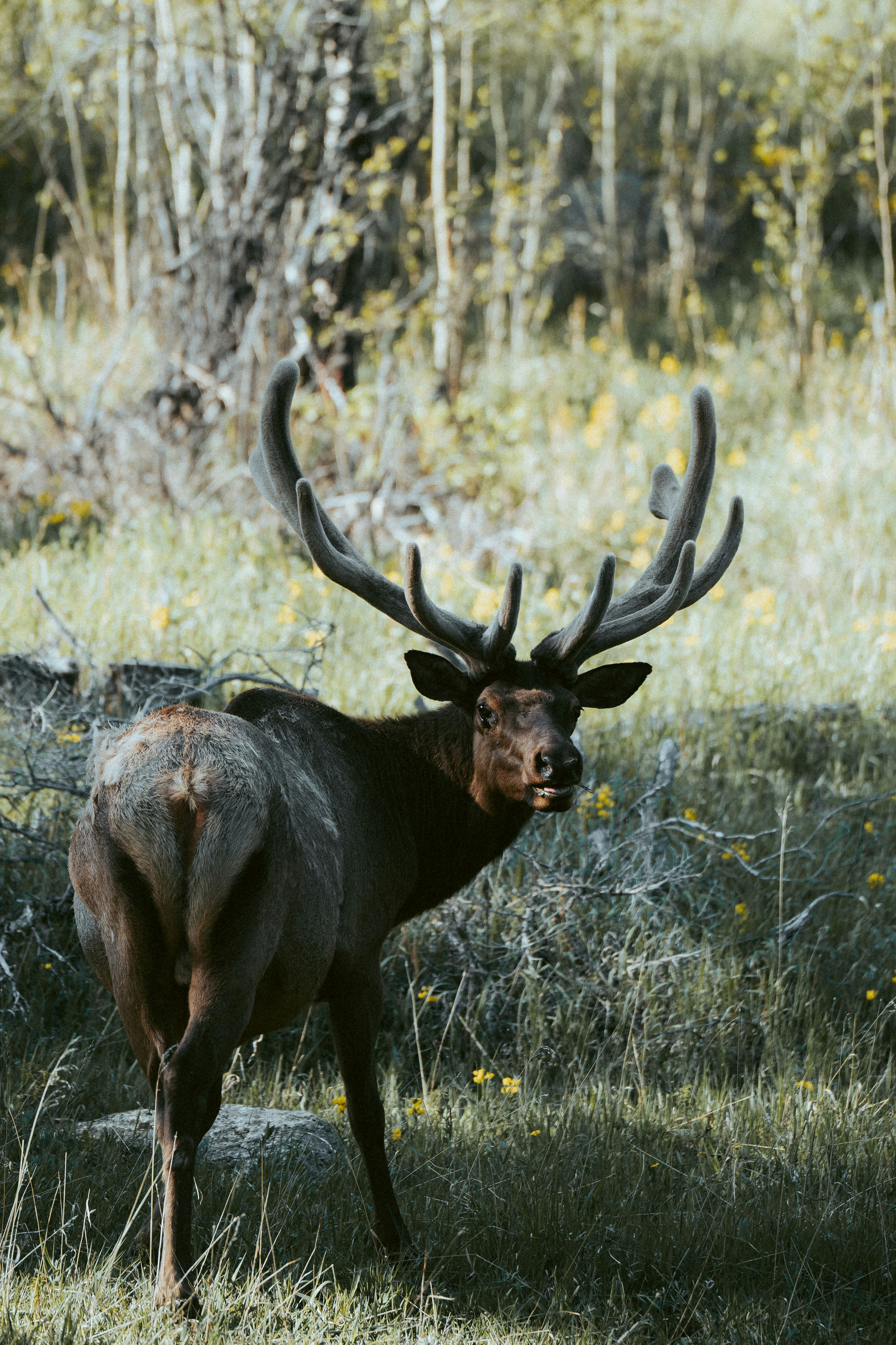 Photo by taylorwright22