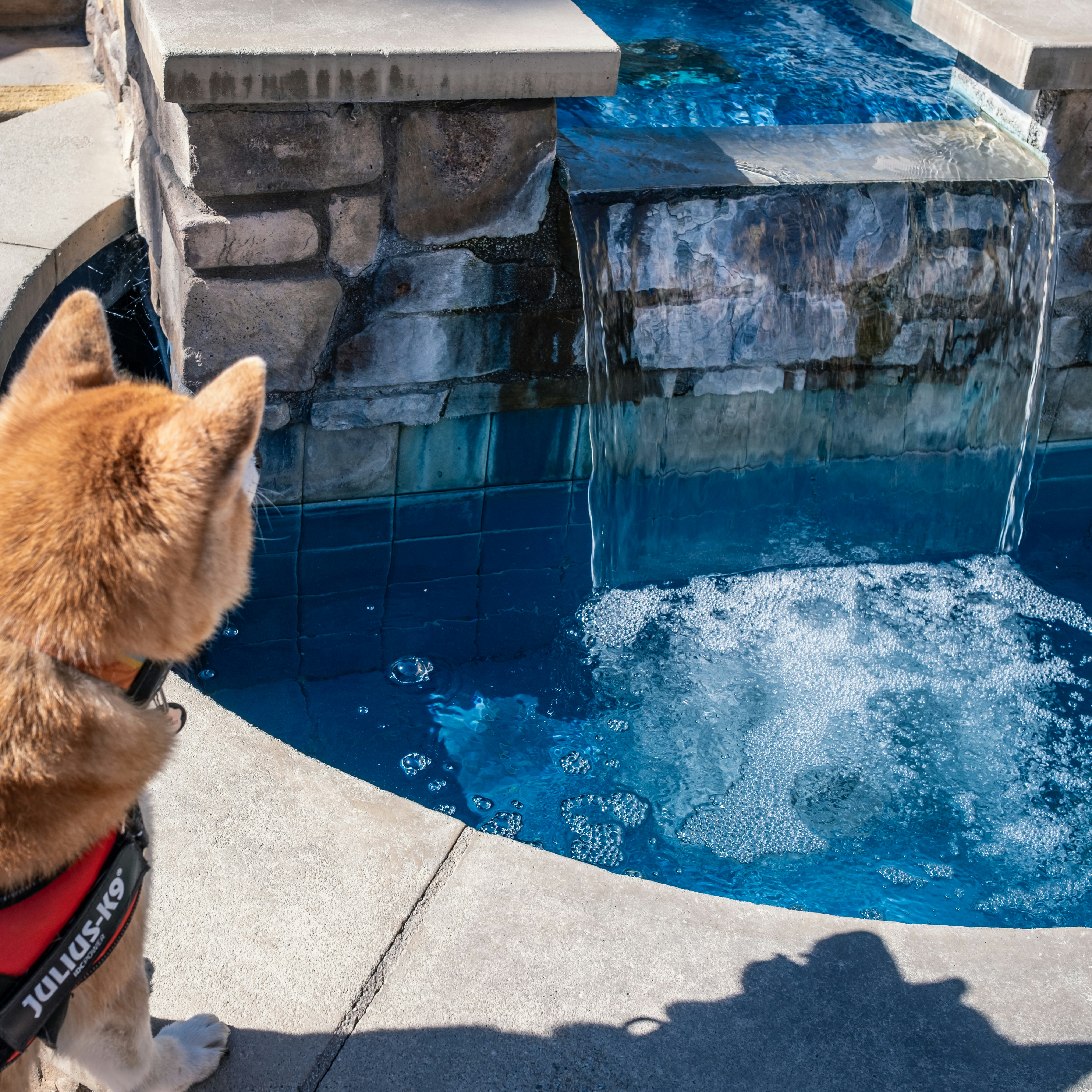 water feature backyard