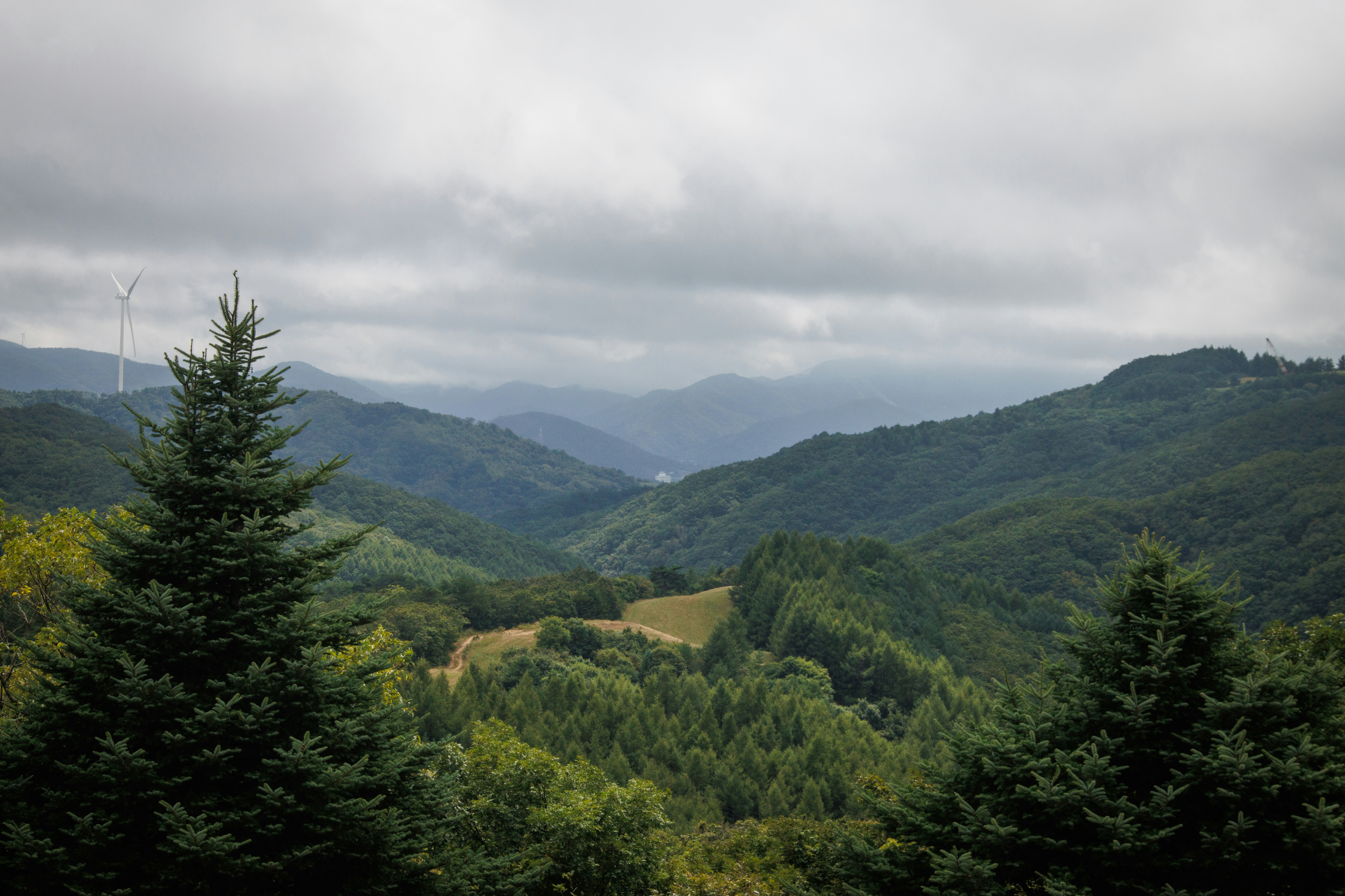 Photo by seoul_lover_lily