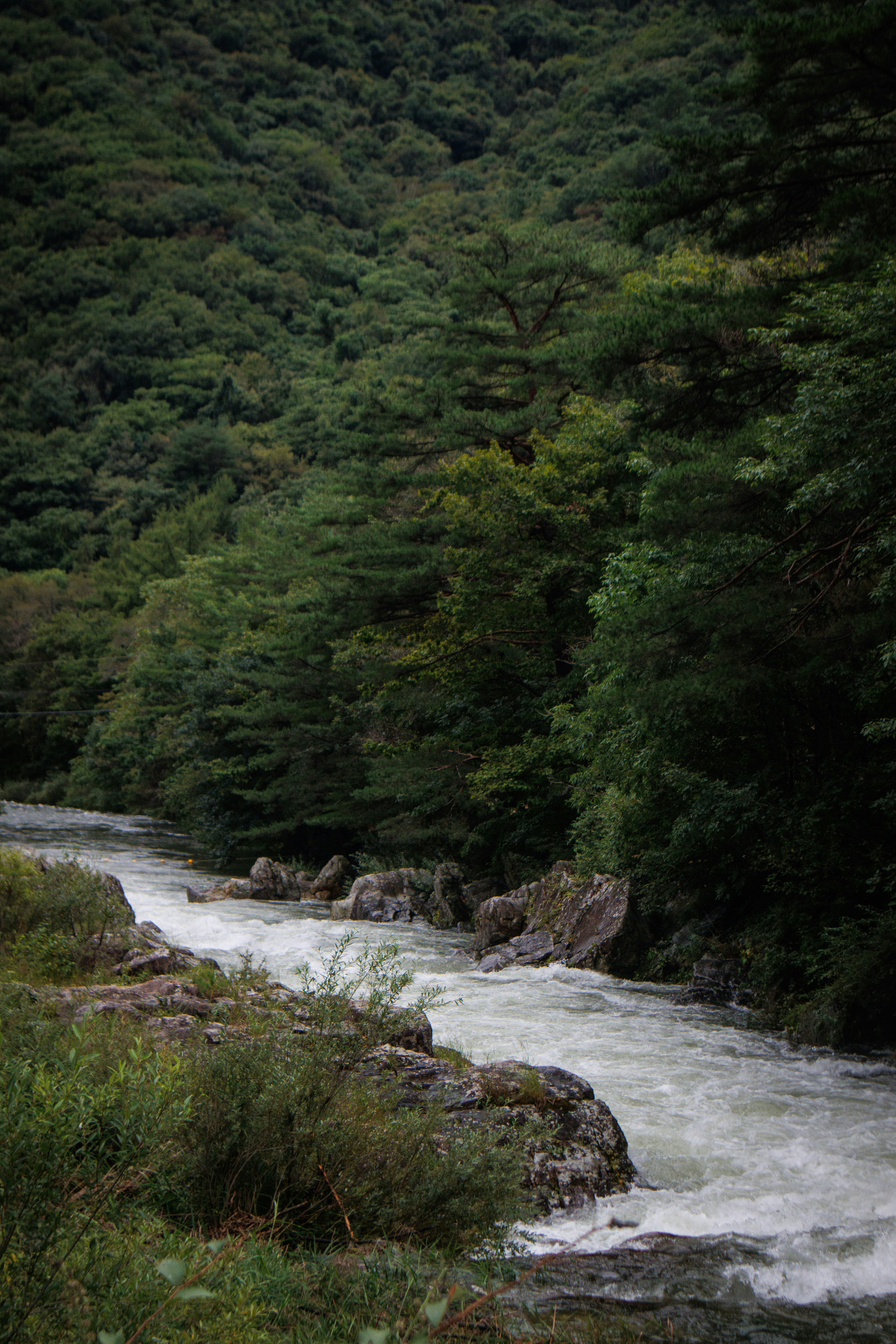 Photo by seoul_lover_lily