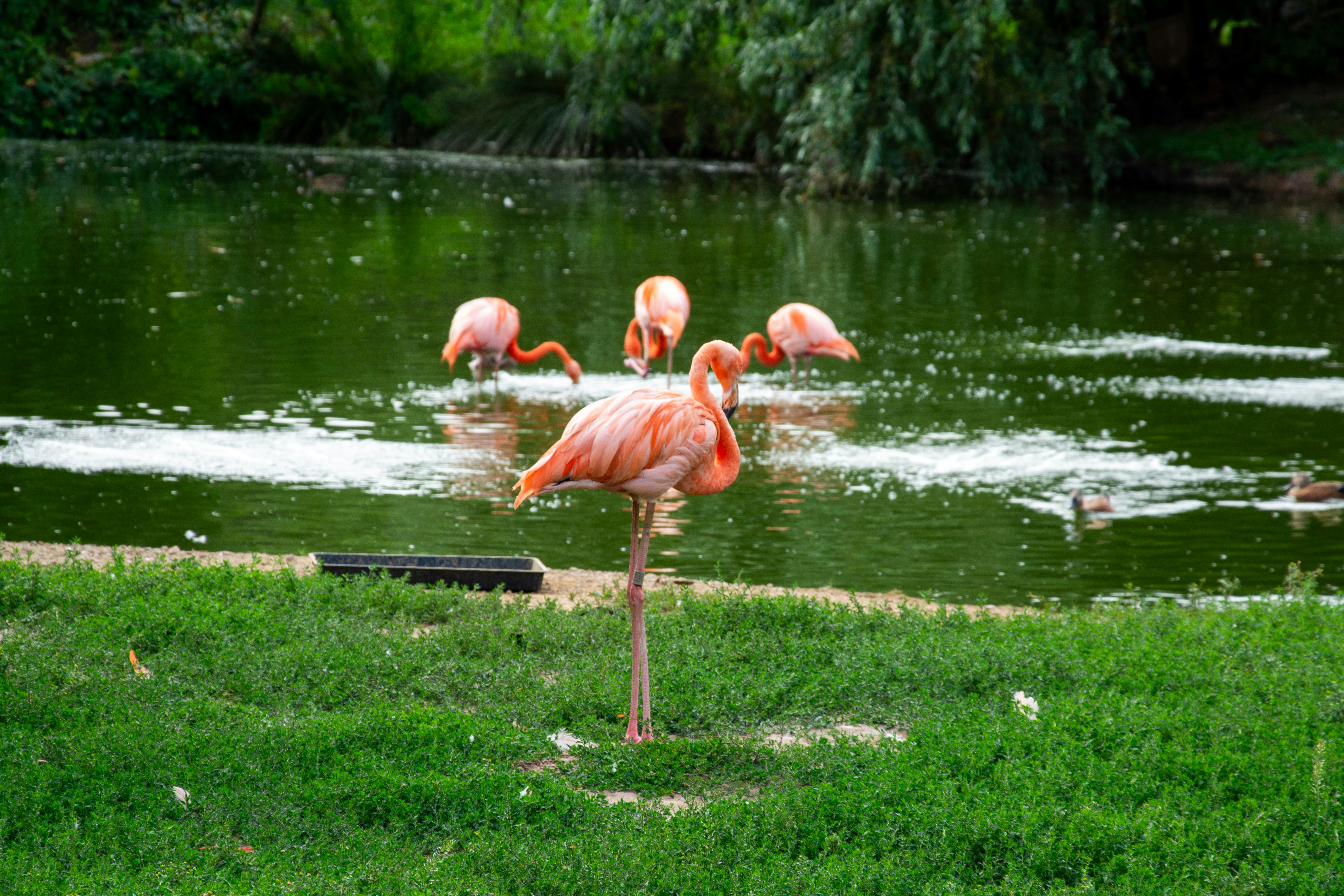 Photo by alexdavidphotos