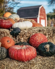 Assortment of pumpkins and gourds on hay bales