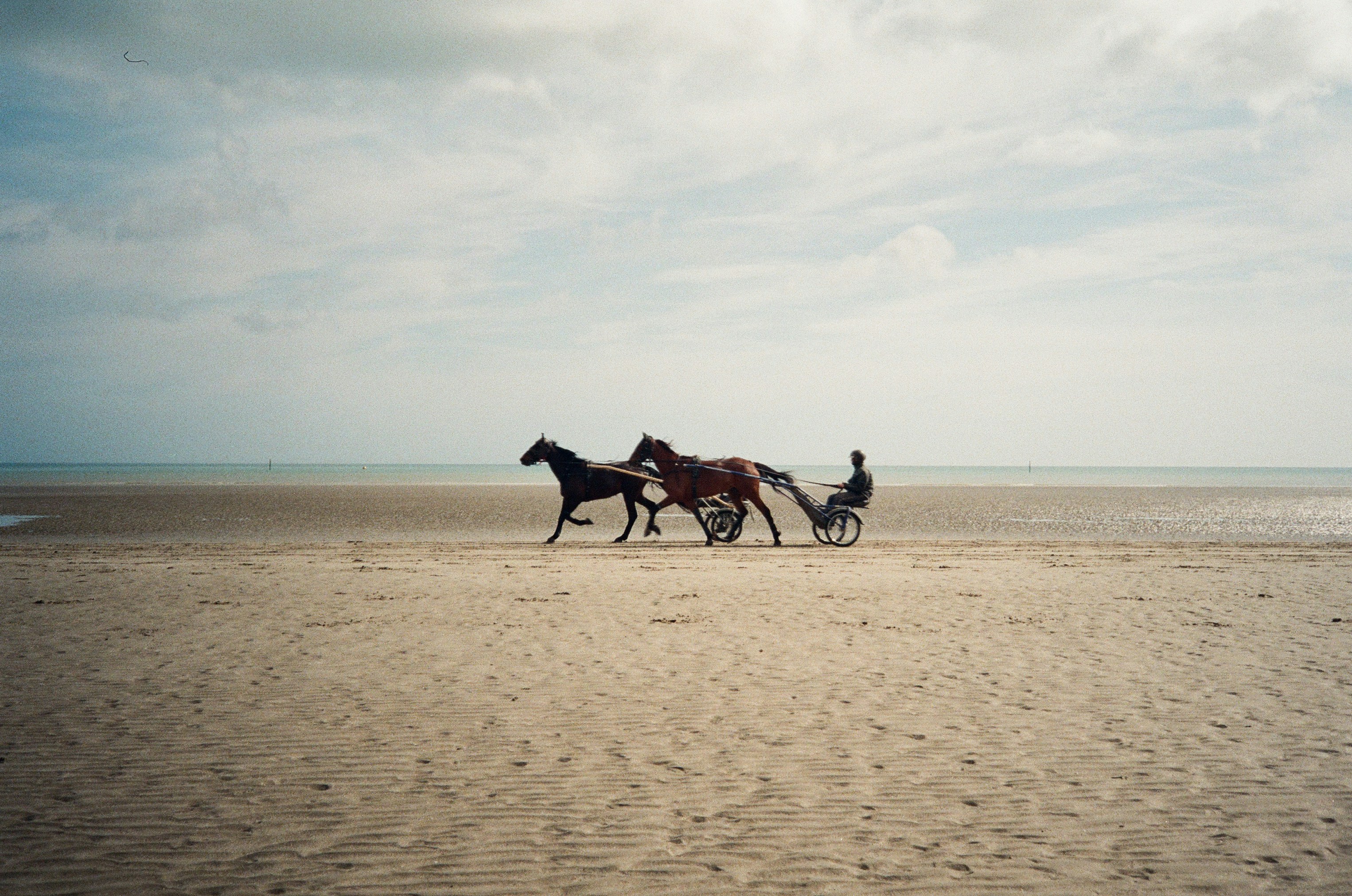 Dois cavalos puxam uma carroça em uma praia arenosa.