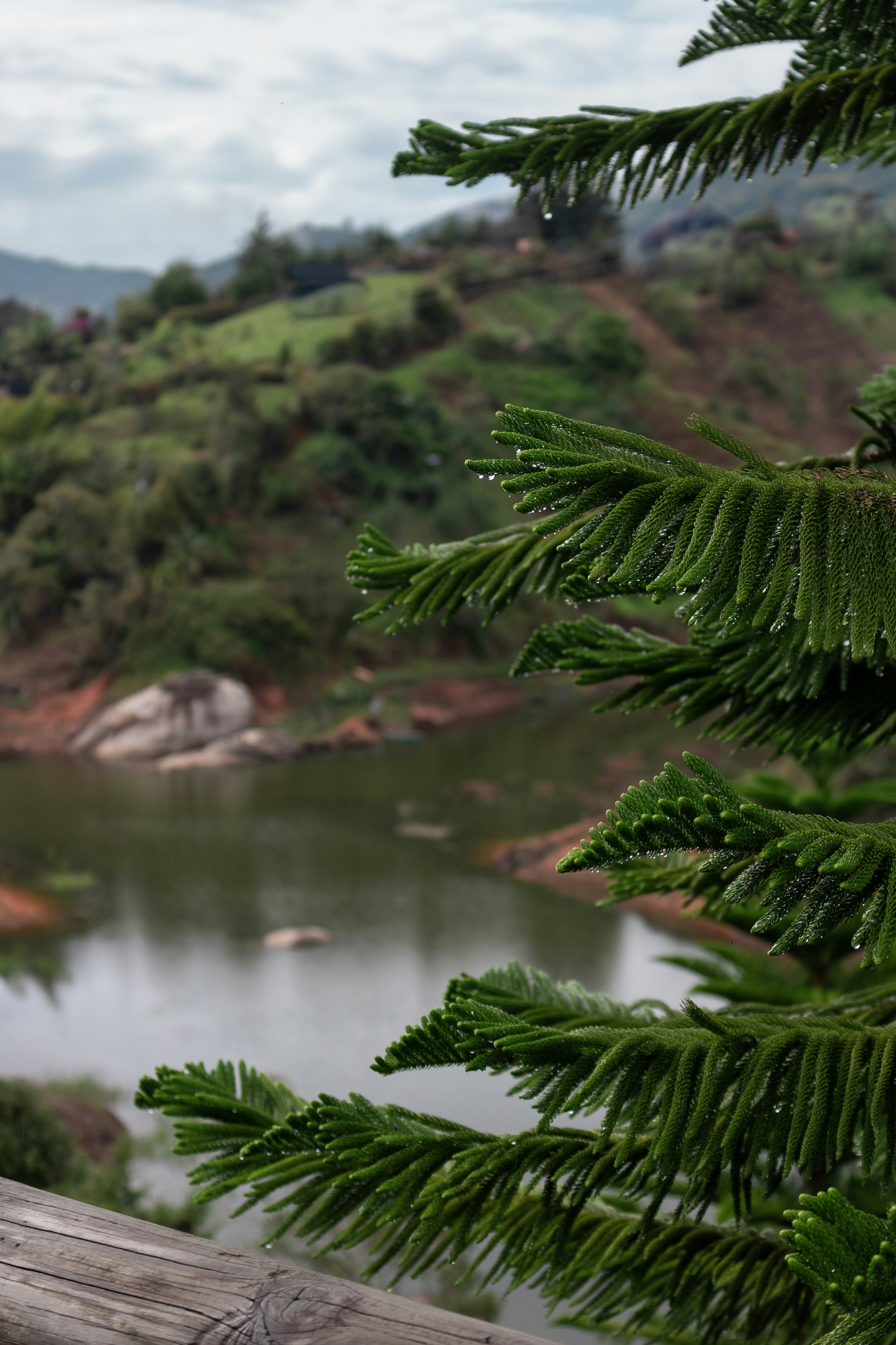 Day Trips and Nearby Escapes