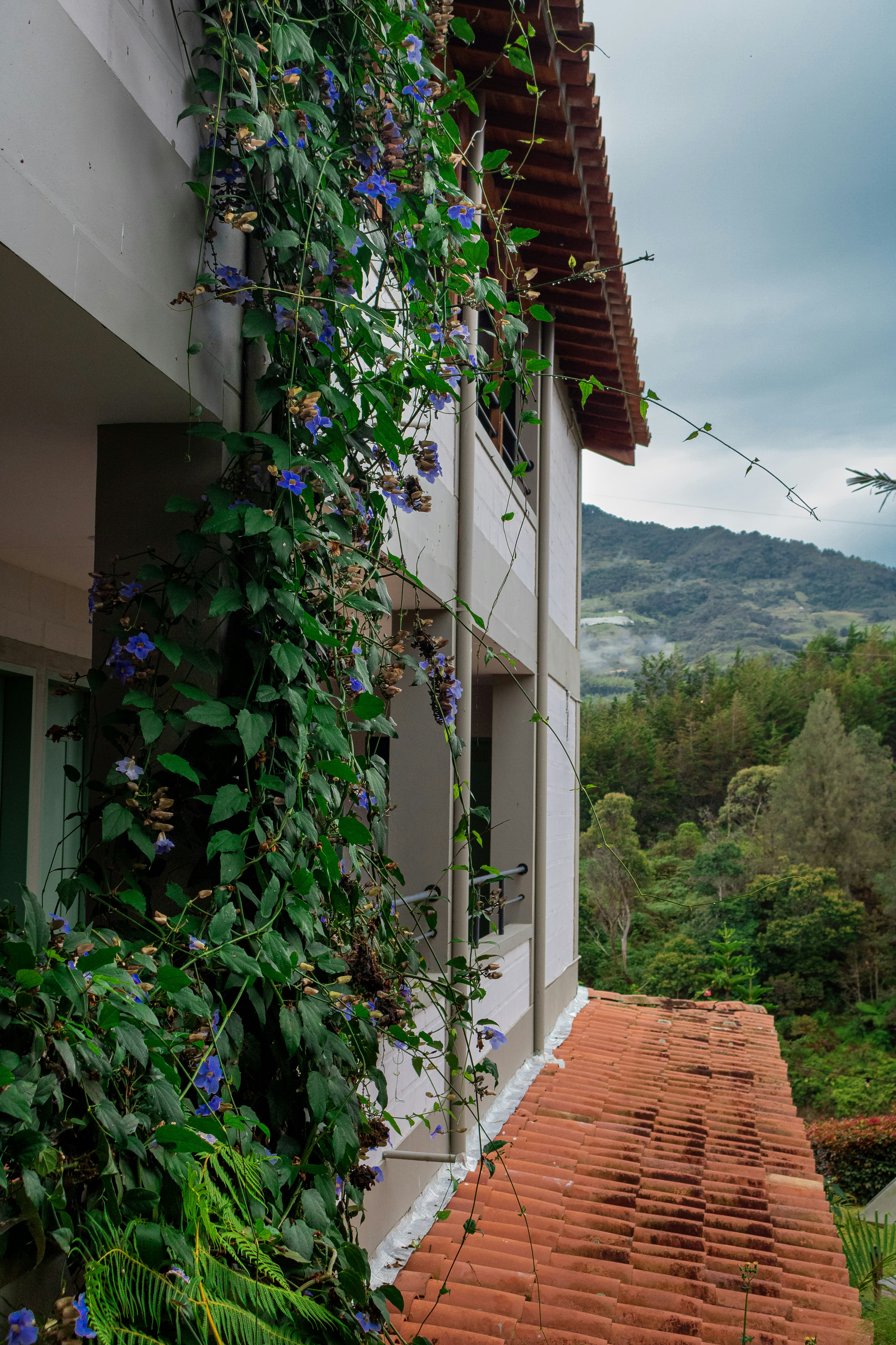eco-friendly hotels