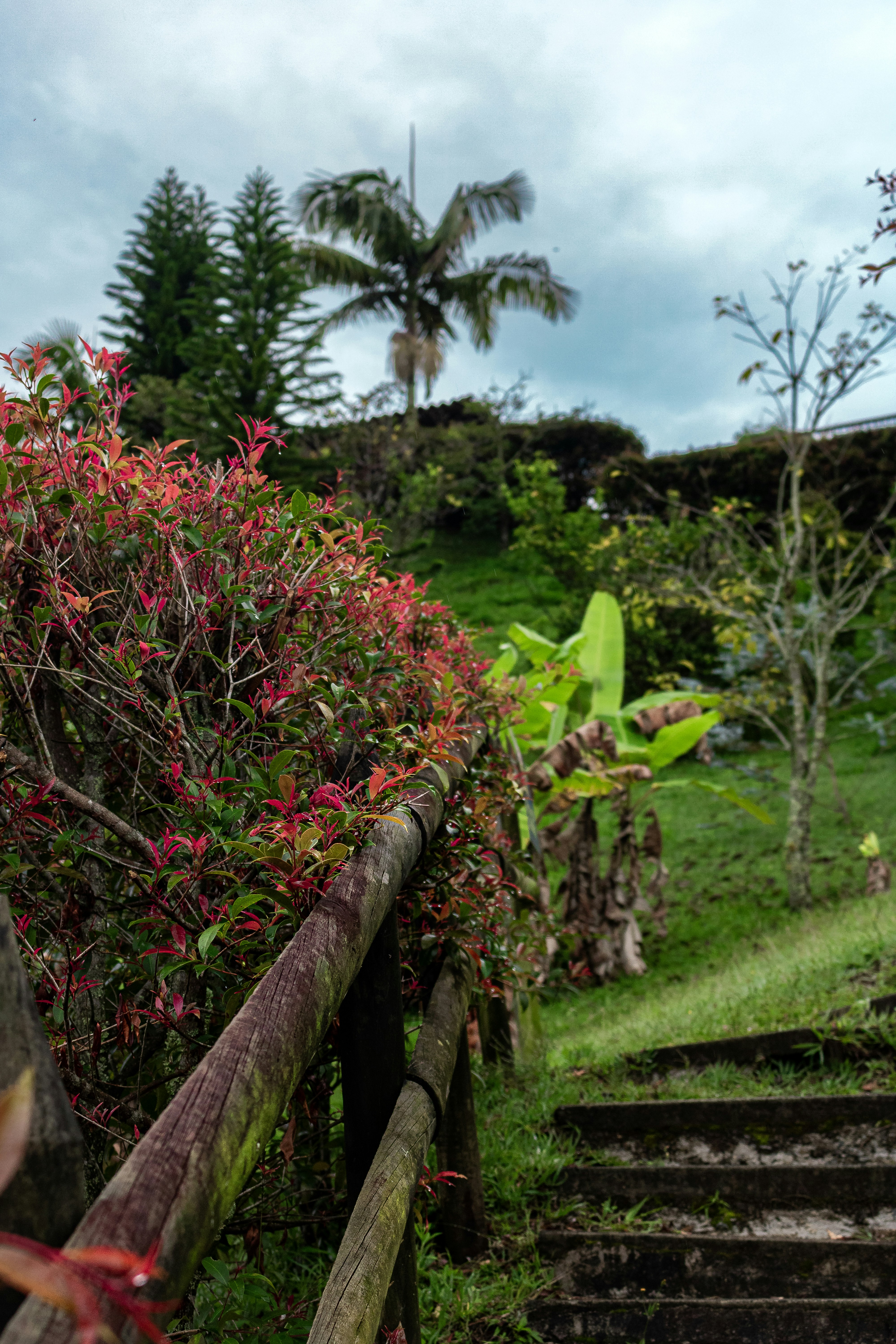 Eating and Drinking in Guatapé