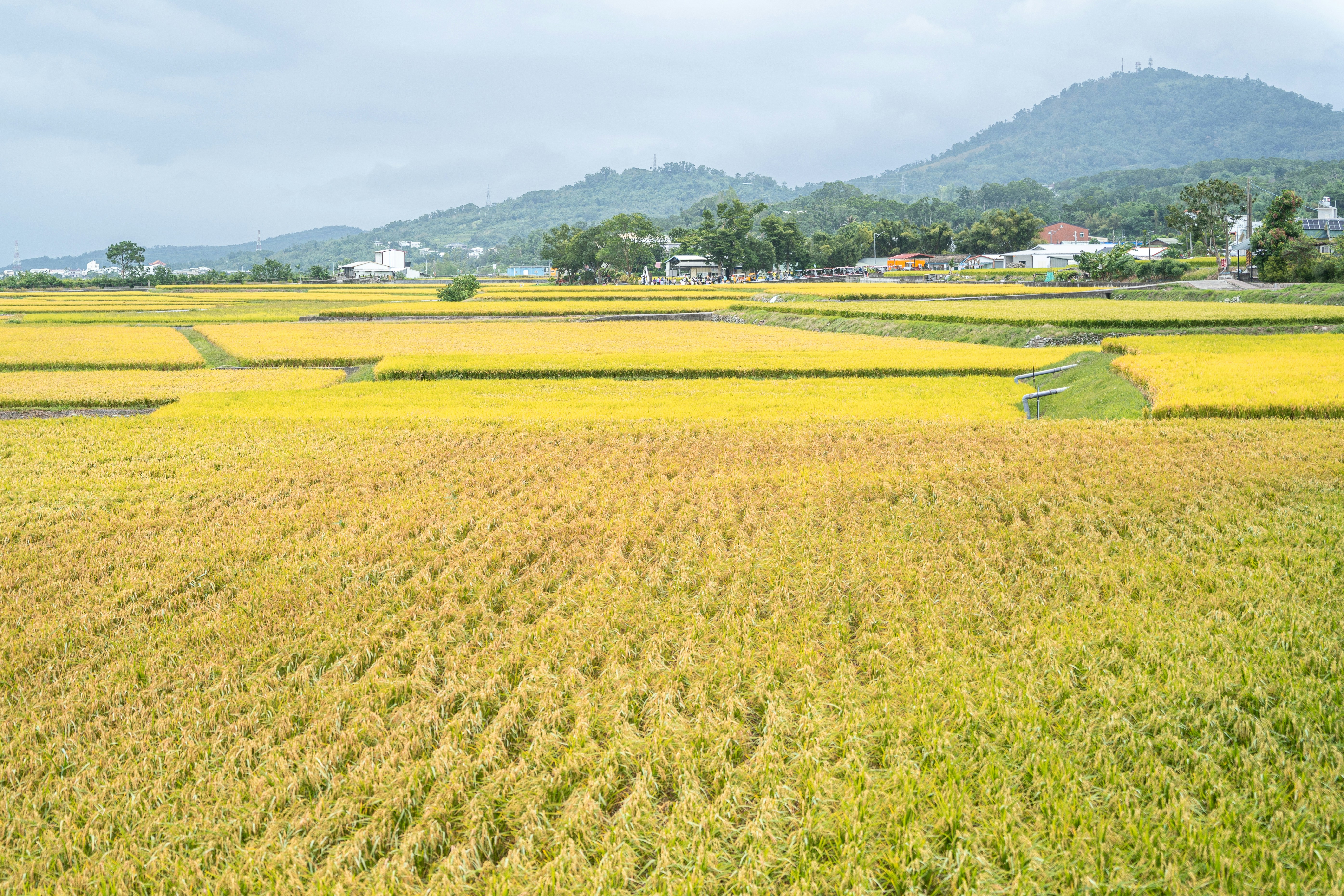 Photo by winstonchen