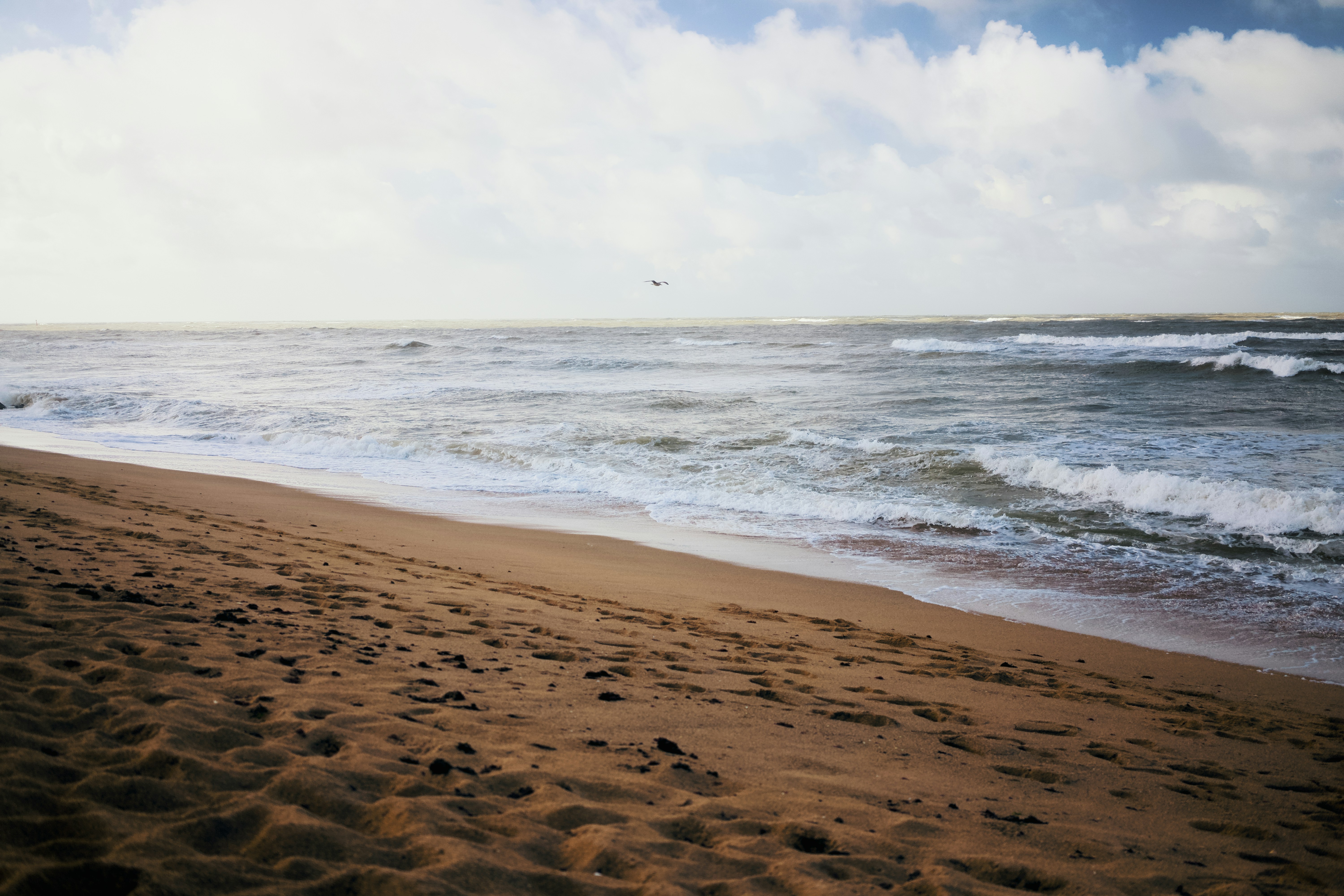 Sandy beach with waves crashing on shore