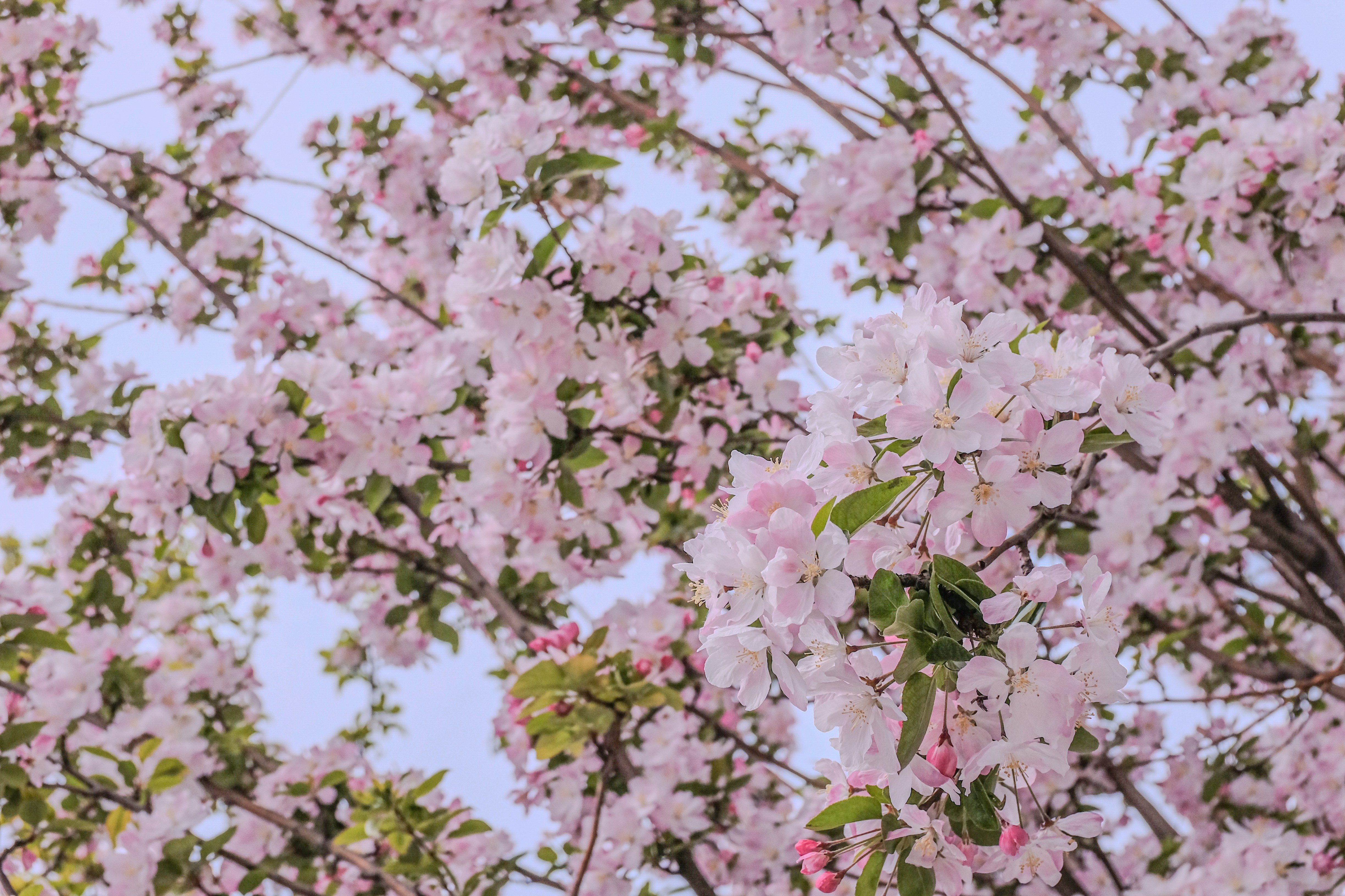 Photo by youngkhalifa