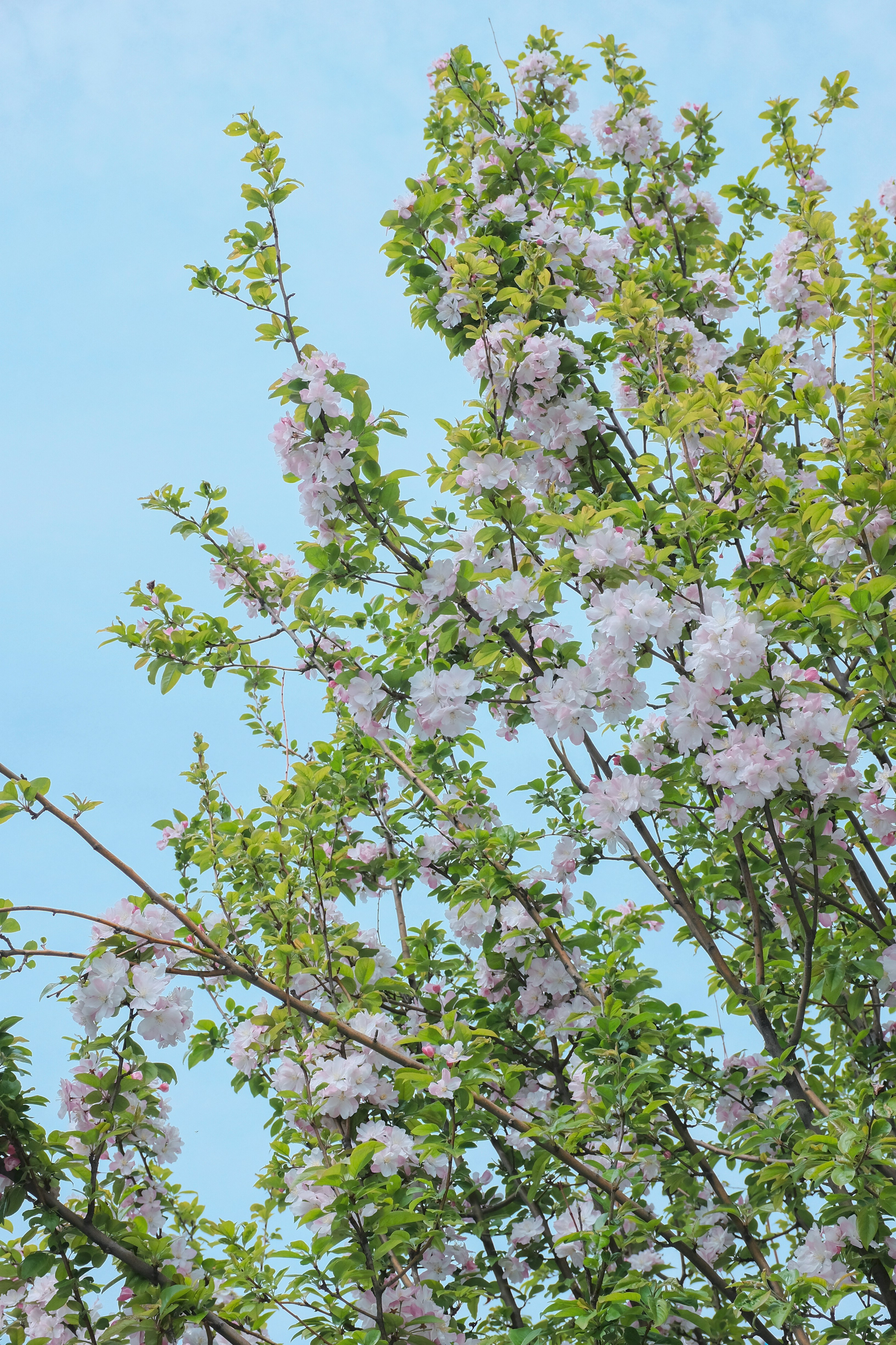 Photo by youngkhalifa