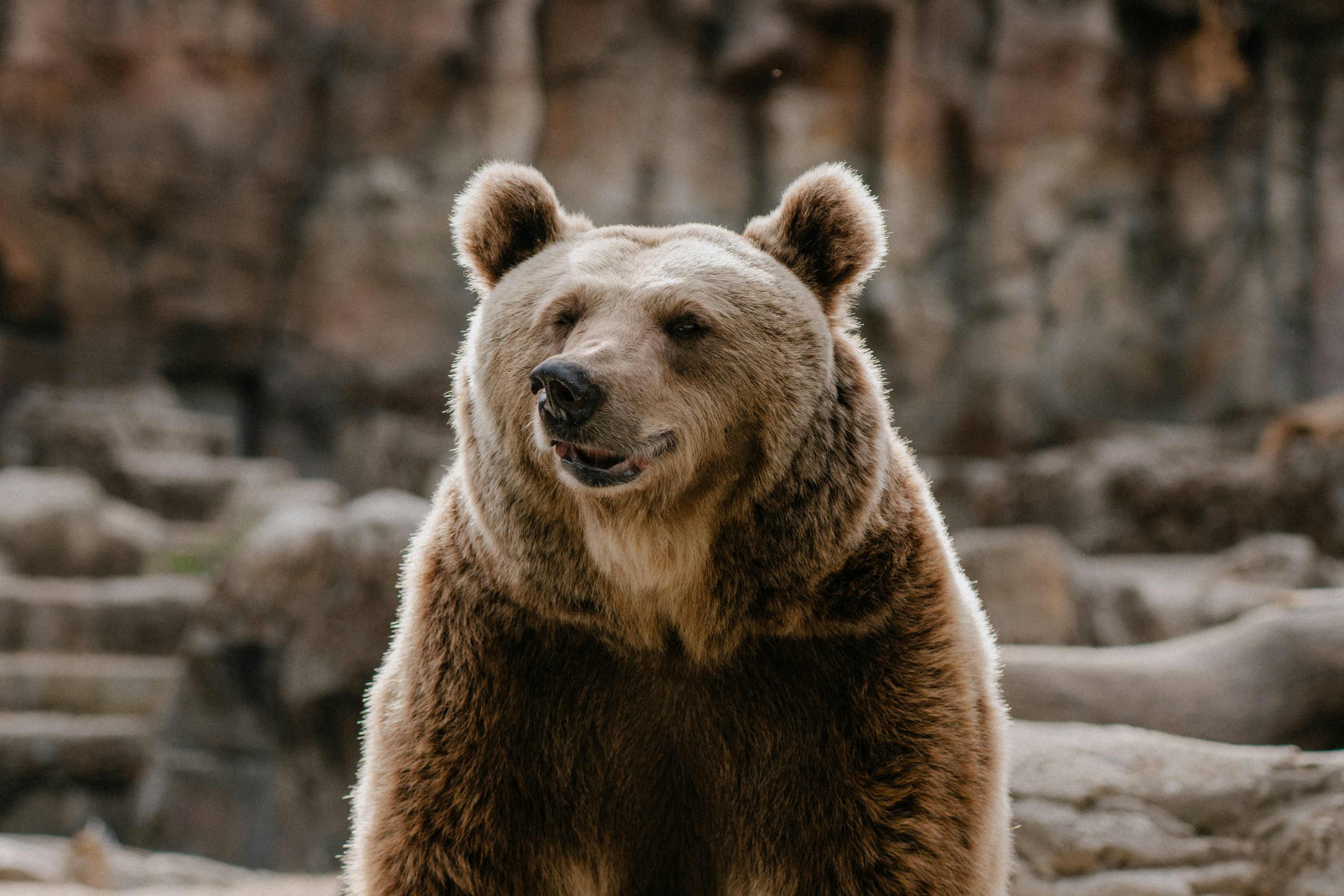 Photo by juancarlospavon