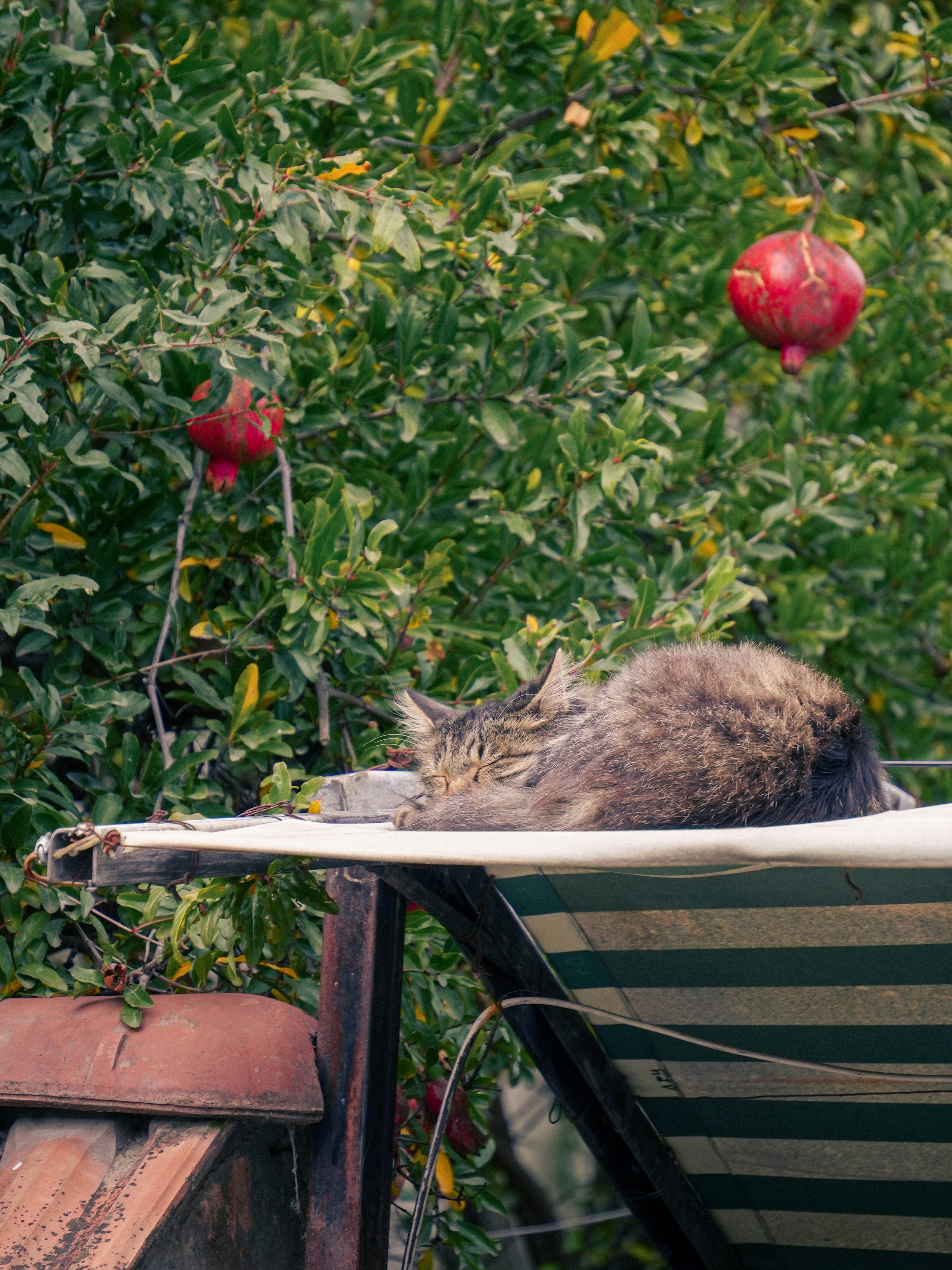 Mtskheta – Natural Environment & Landscapes