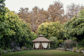 Thatched gazebo with curtains in a lush garden.