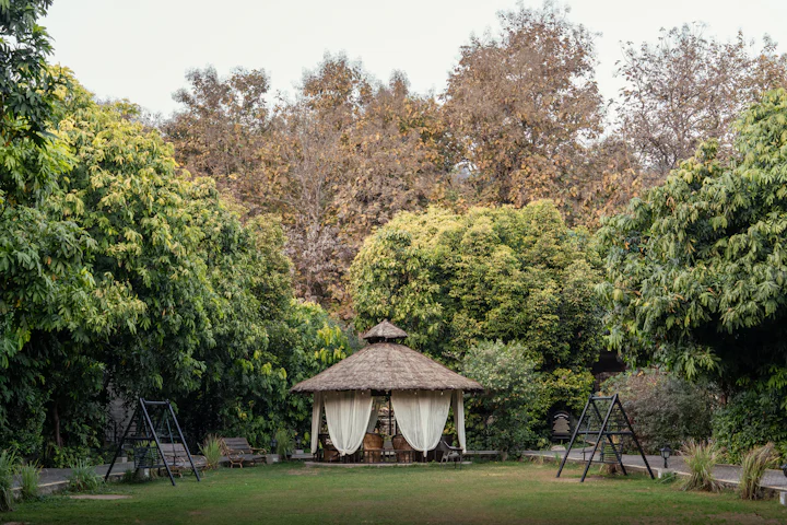 A thatched gazebo with white curtains in a lush green garden.