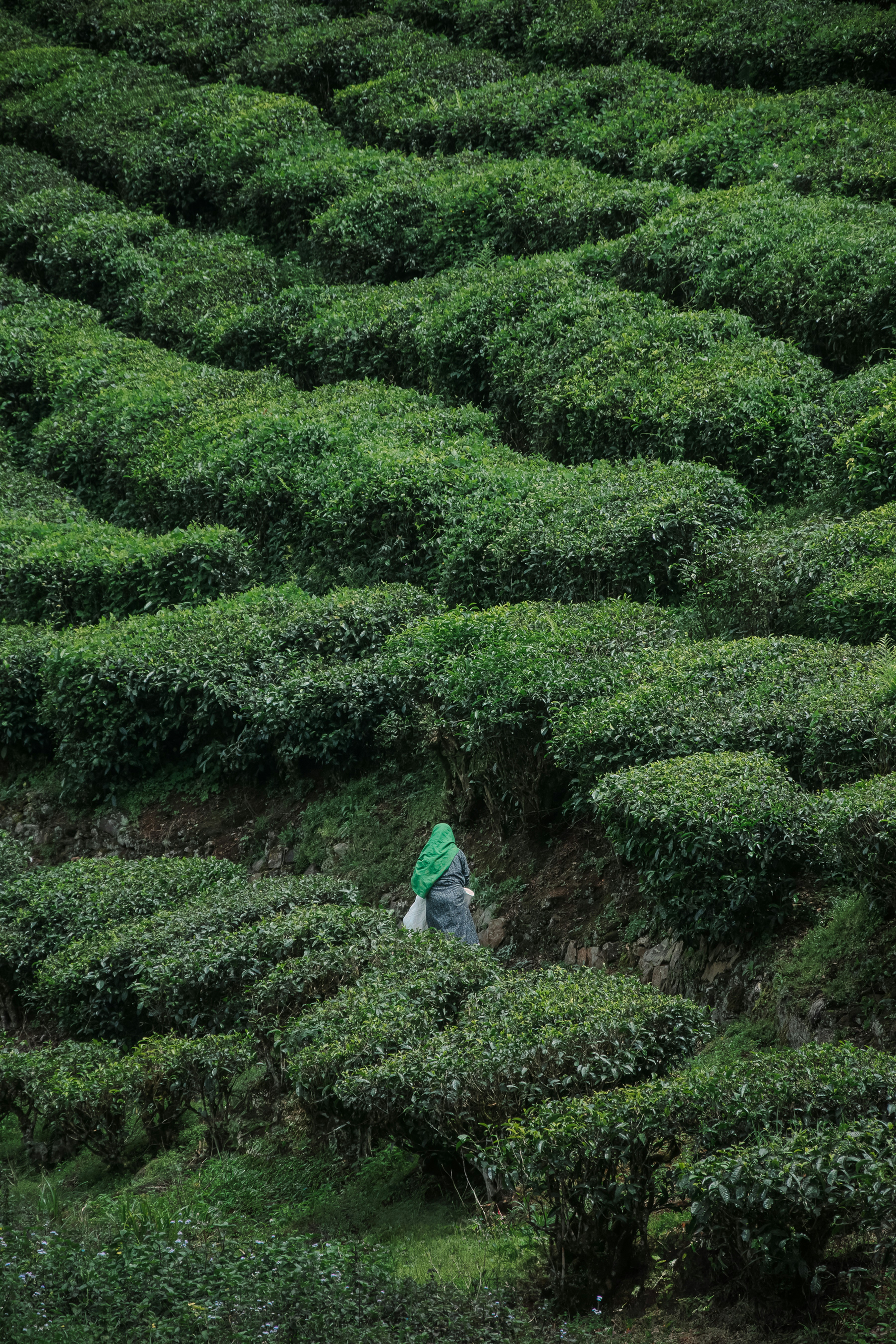 Photo by kamal_anand