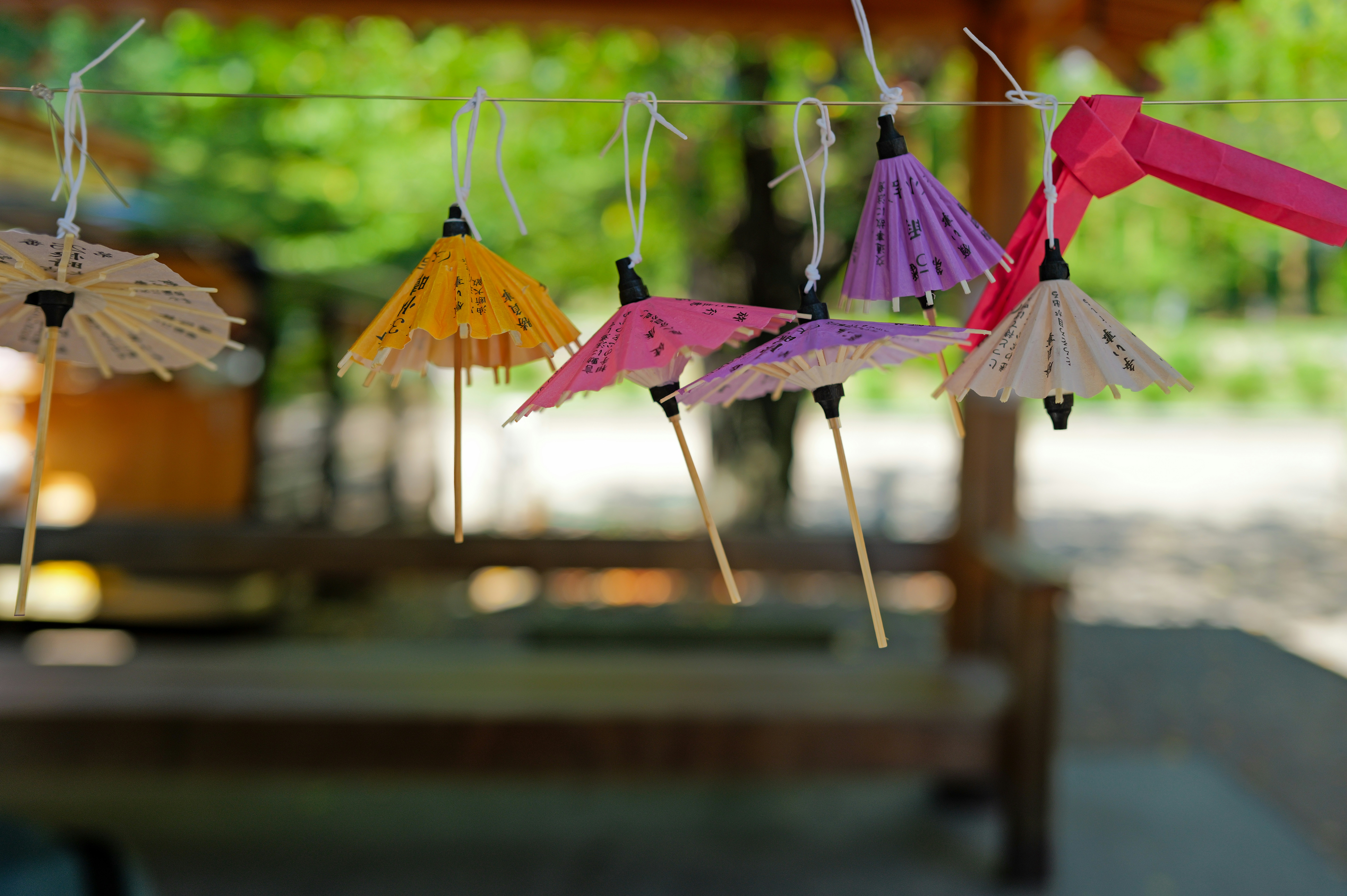 Photo by soflightsto