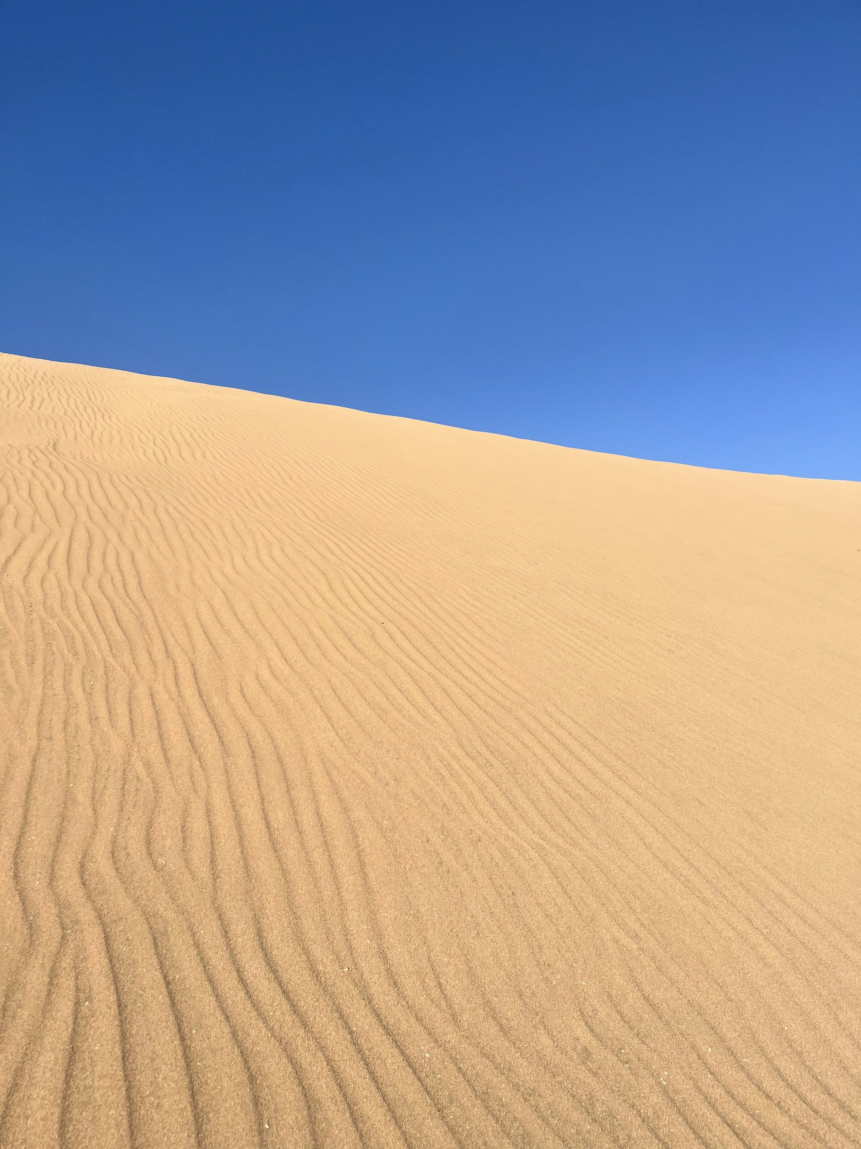 Photo by riccardo_cmn