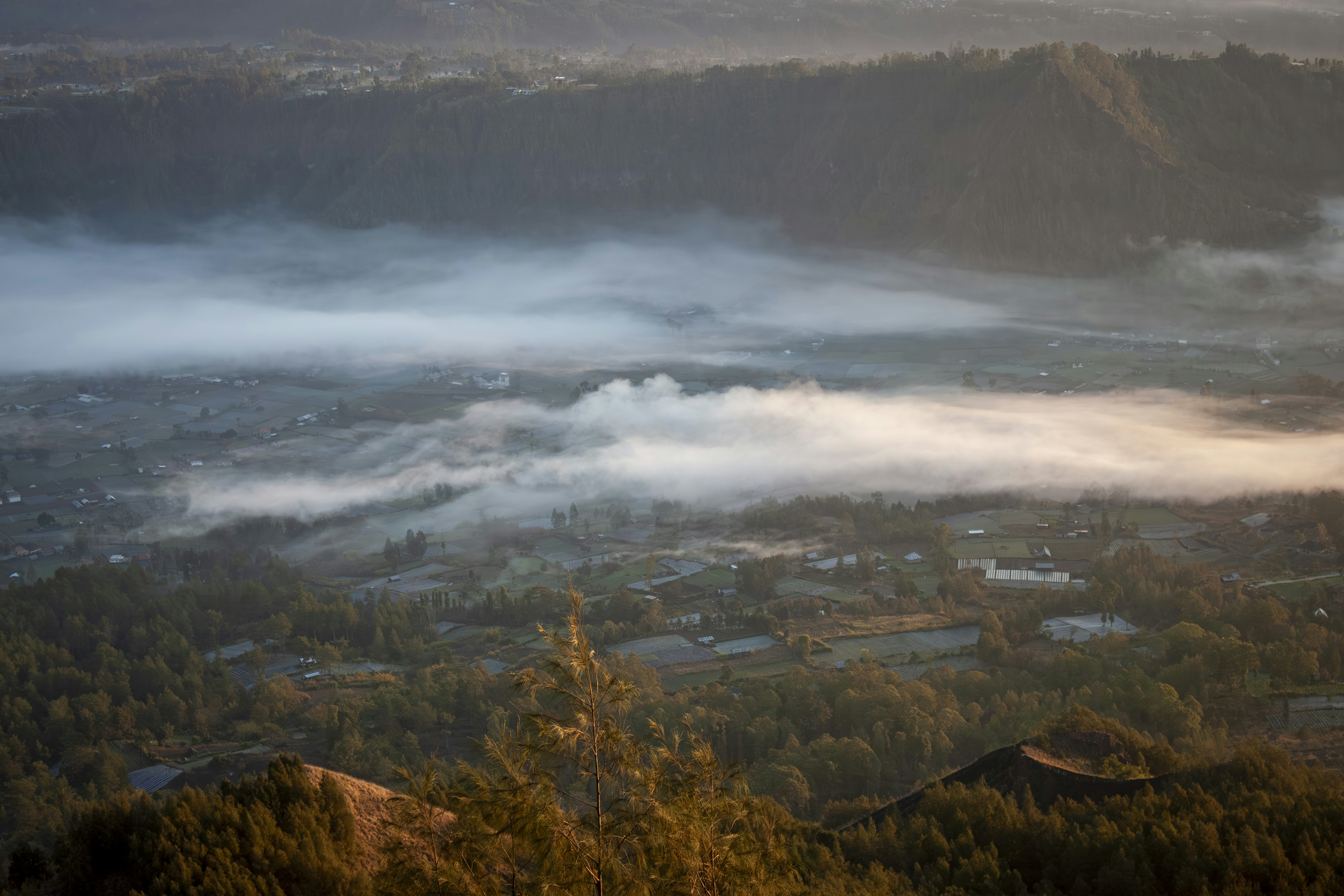 Misty valley with forested hills at sunrise