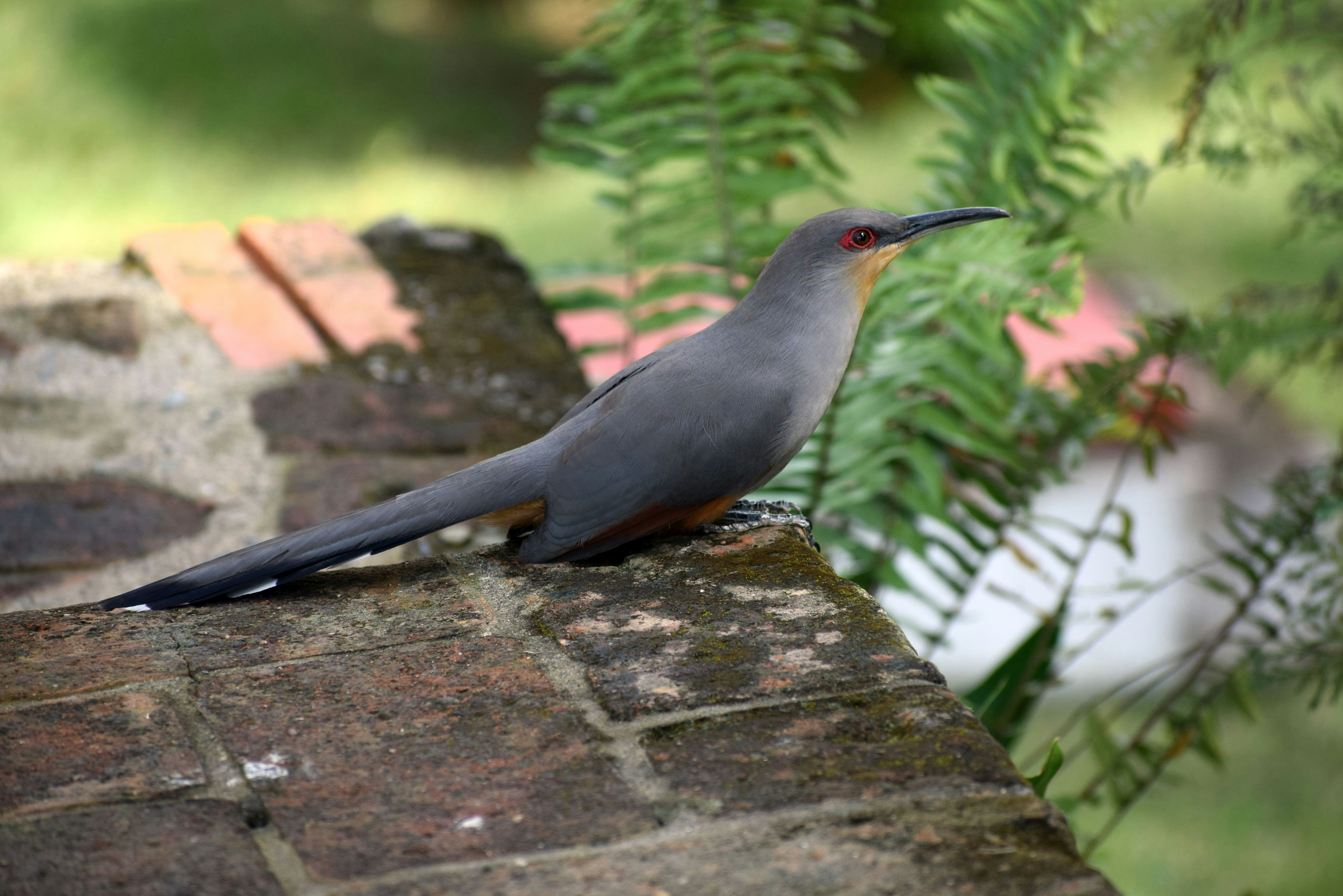 Photo by menesesangel