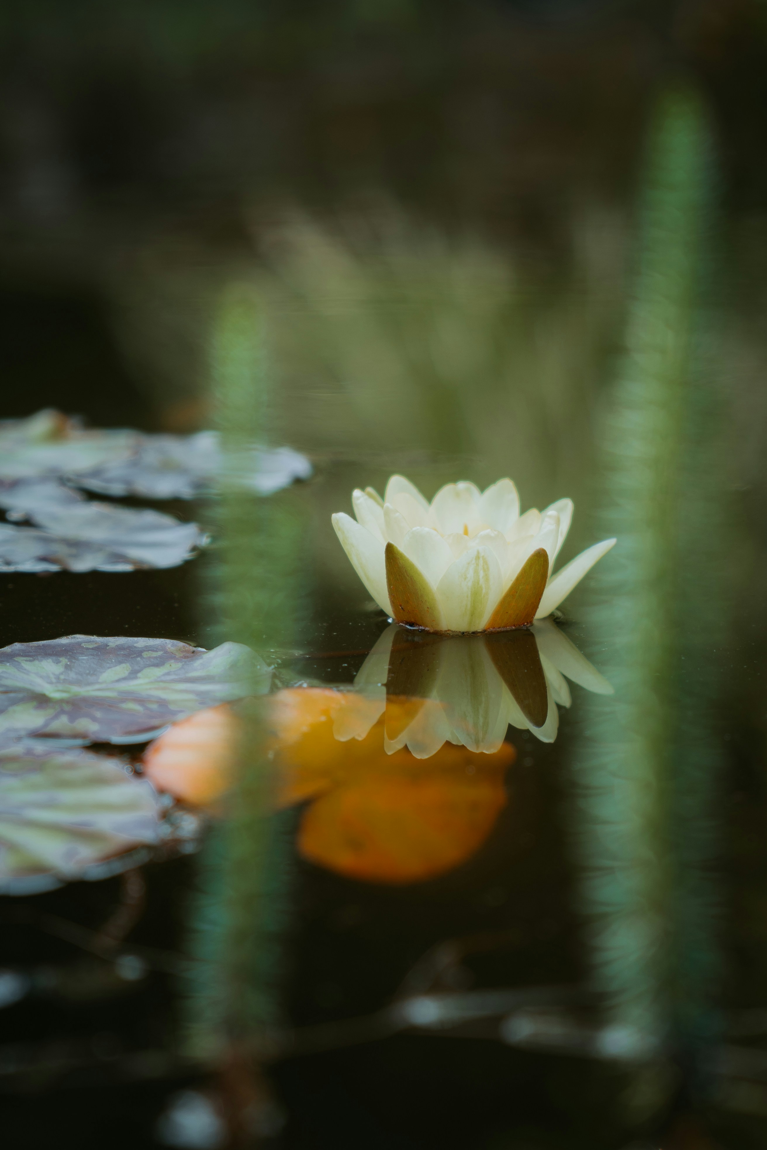 Photo by dermanuskript