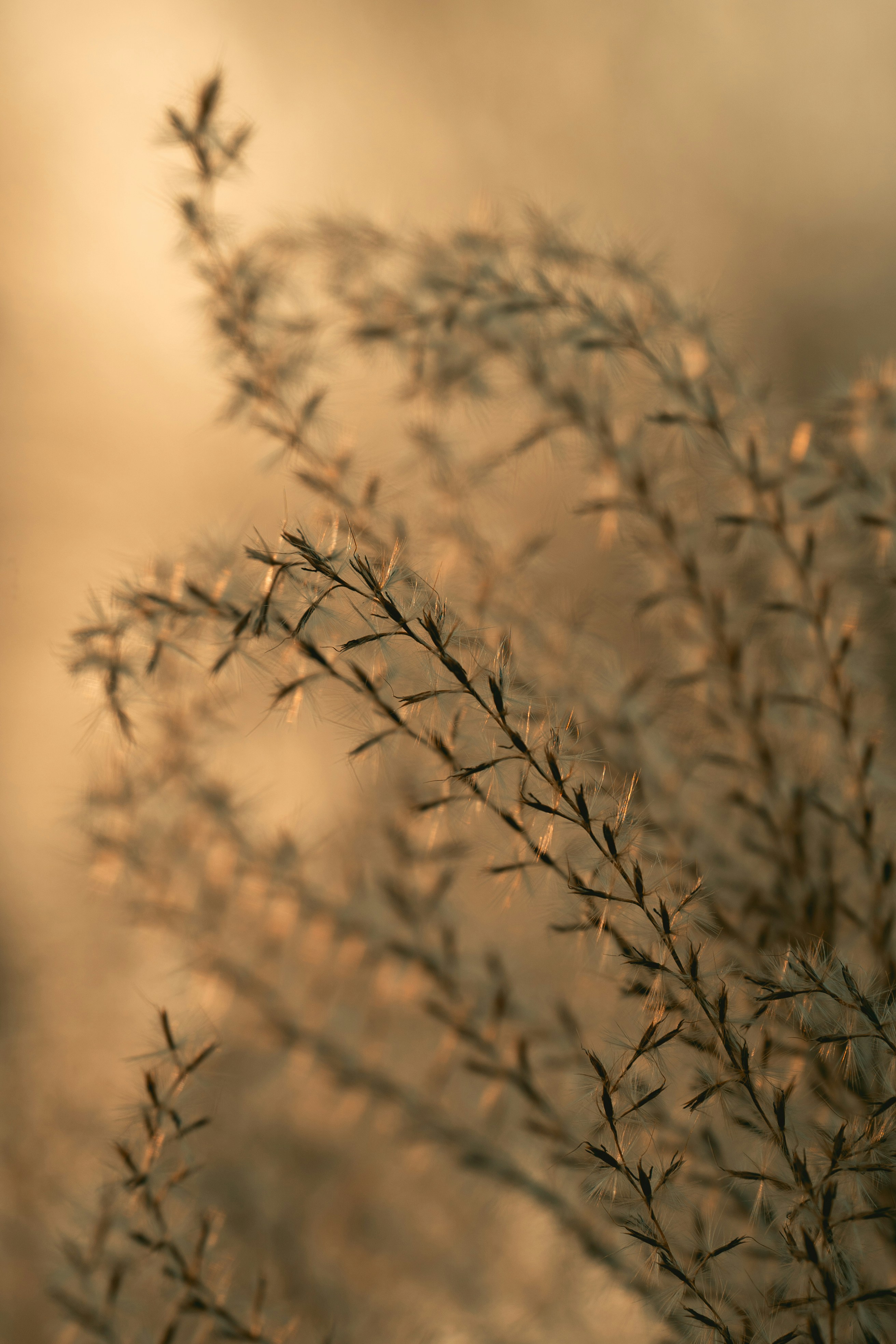 Photo by dermanuskript