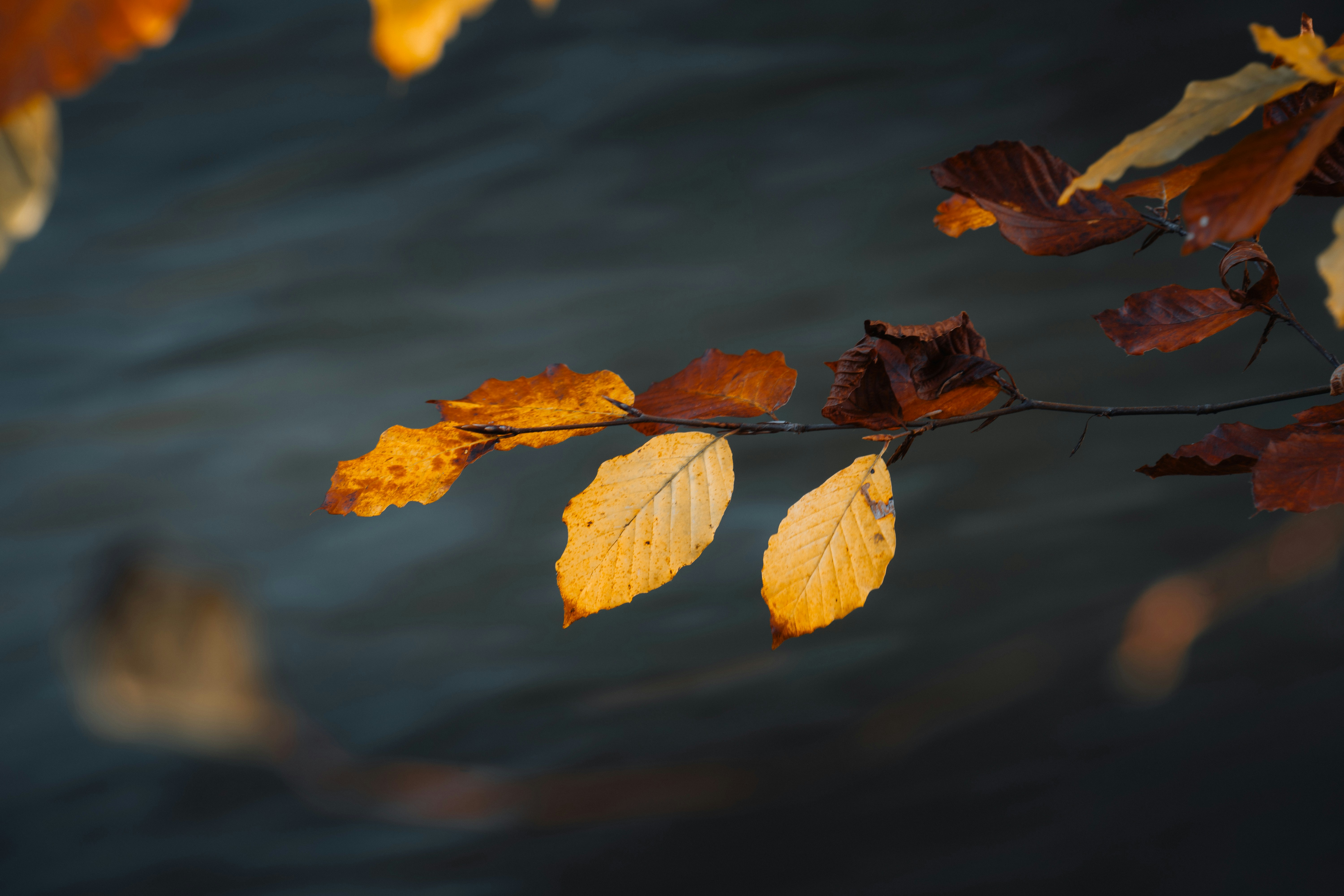 Photo by dermanuskript