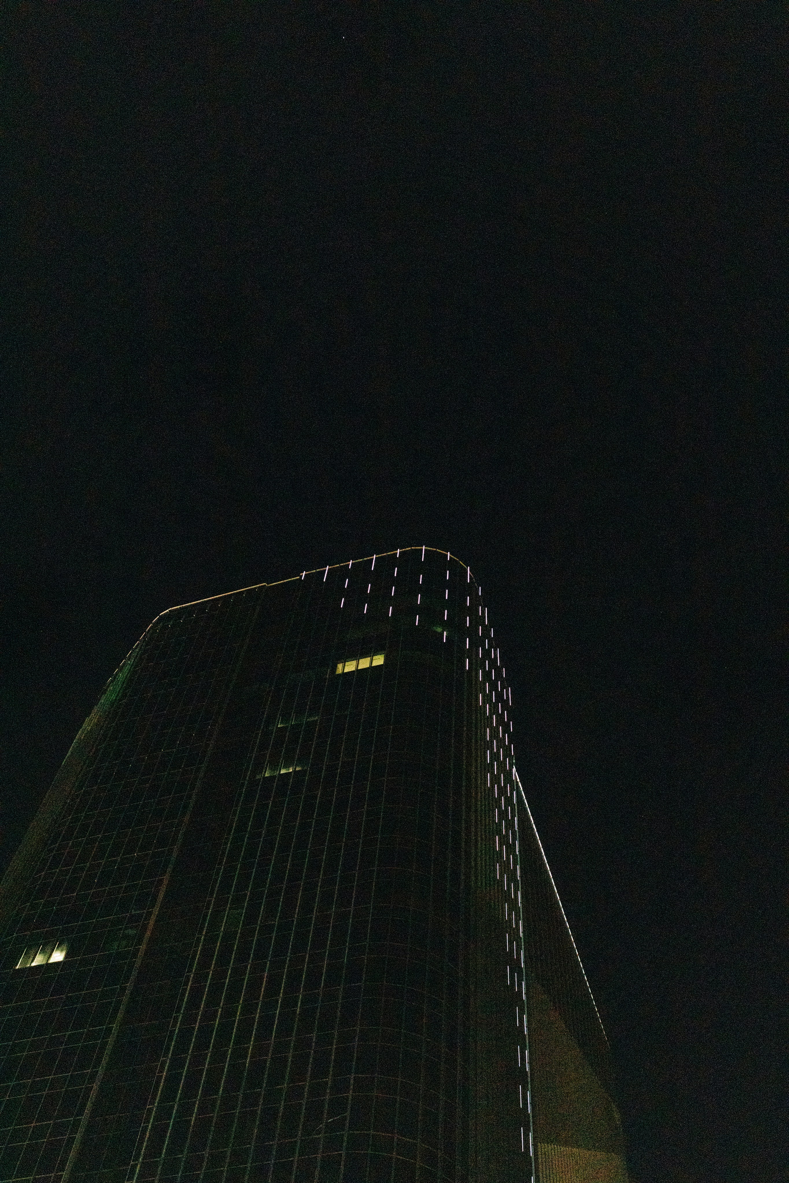 Photo by tsuyoshikozu