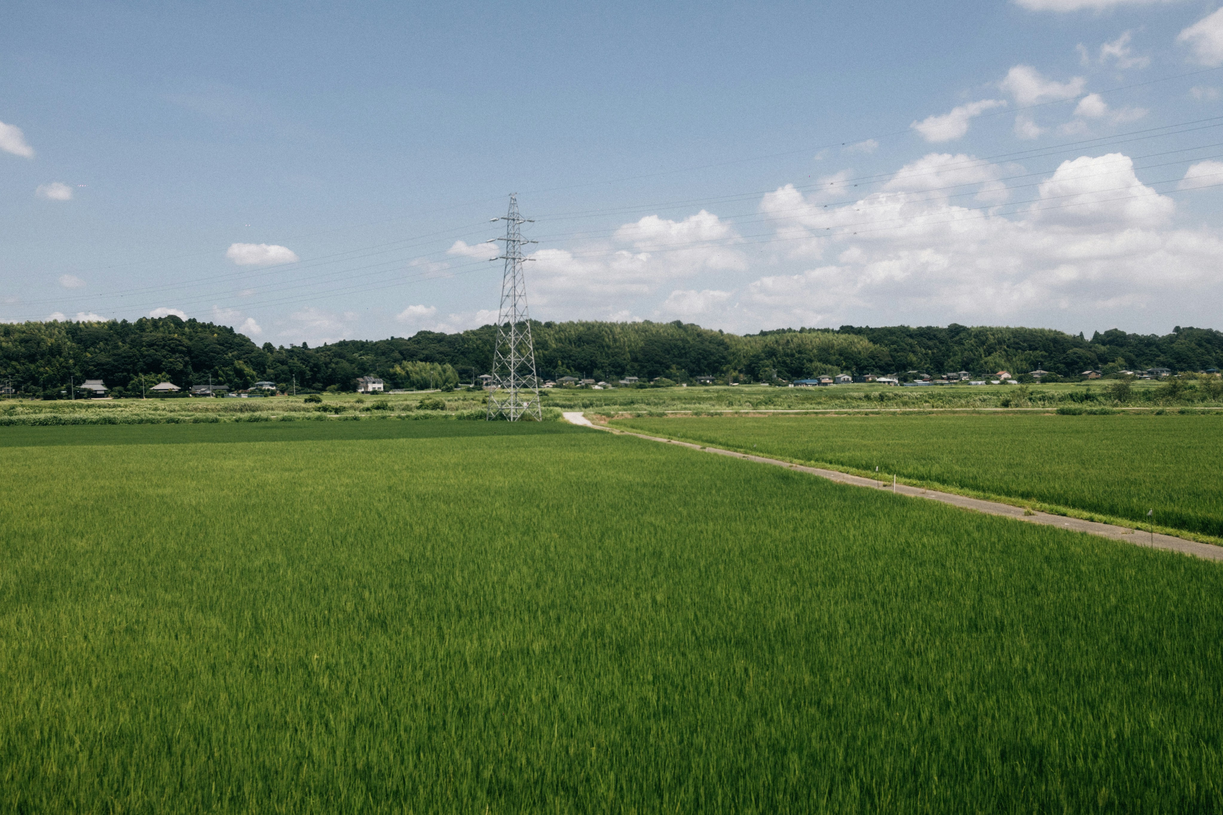 Photo by tsuyoshikozu