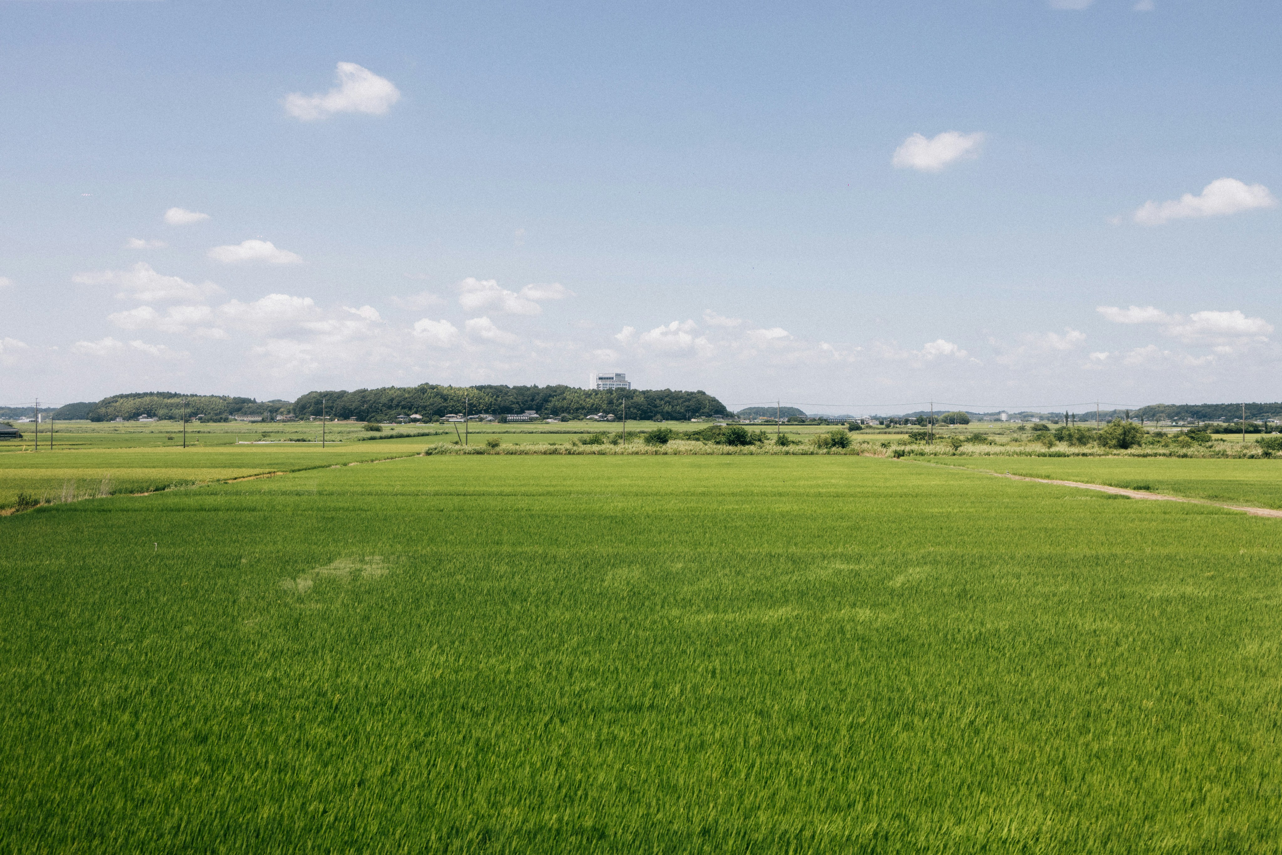 Photo by tsuyoshikozu