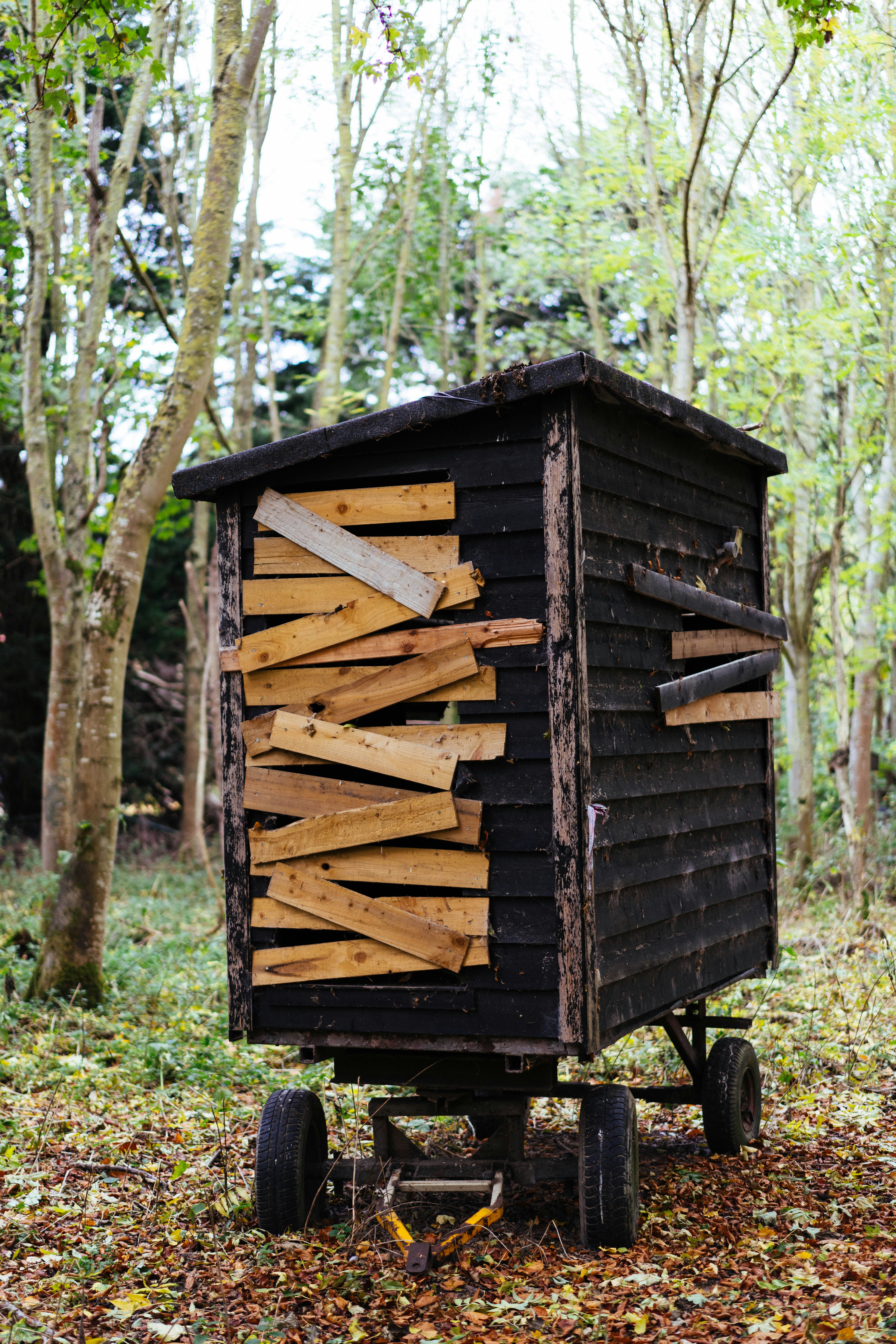 Photo by philhearing