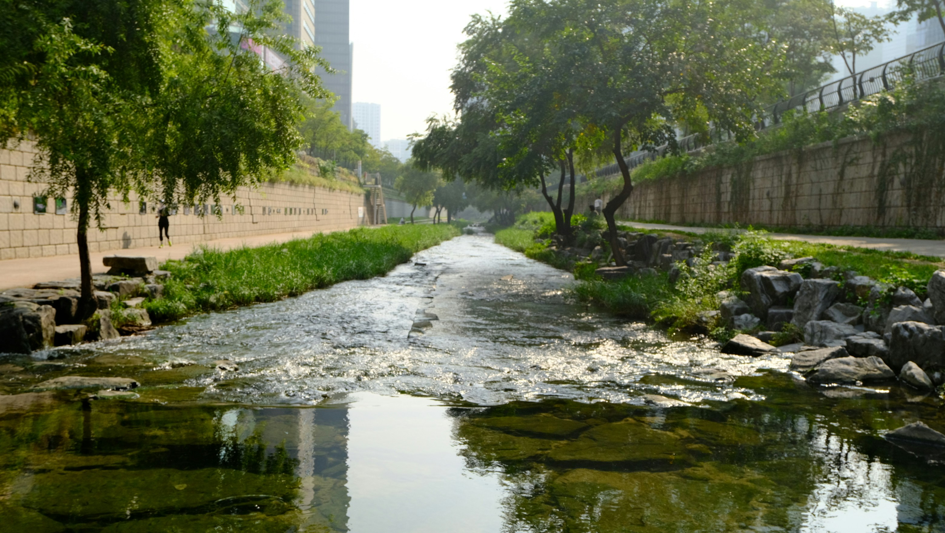 A stream flows through a park with trees and buildings. photo – Free ...