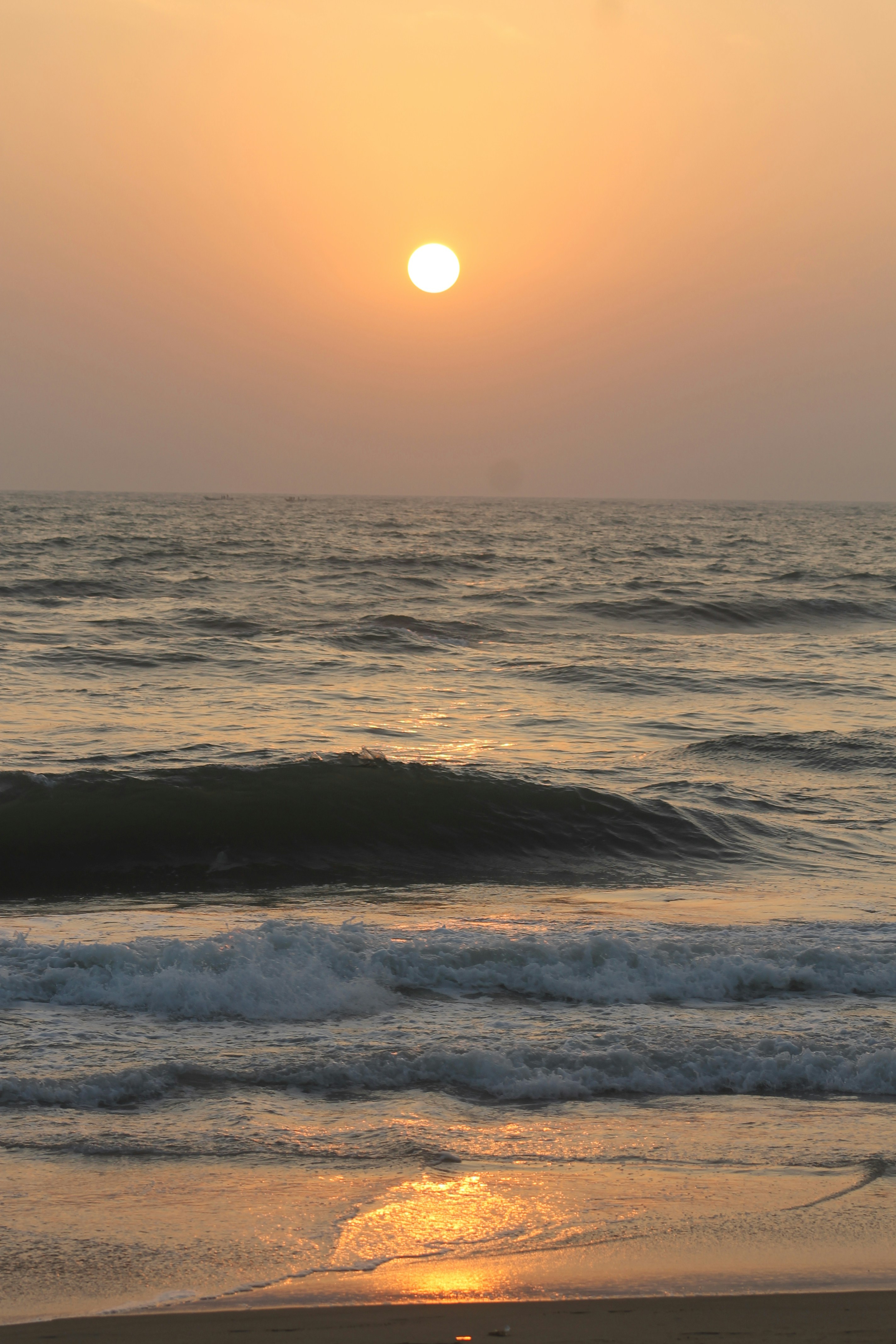 Photo by varun_venugopal