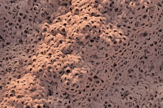Close-up of a textured surface with many small holes.