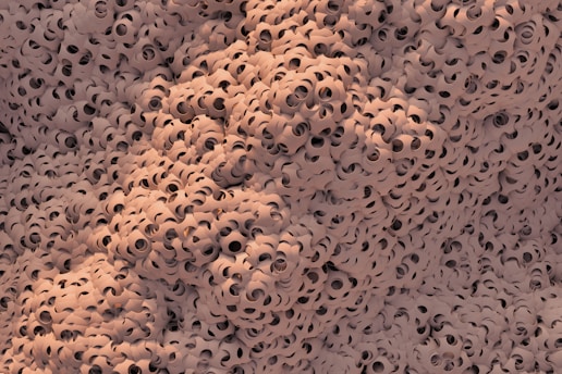 Close-up of a textured surface with many small holes.