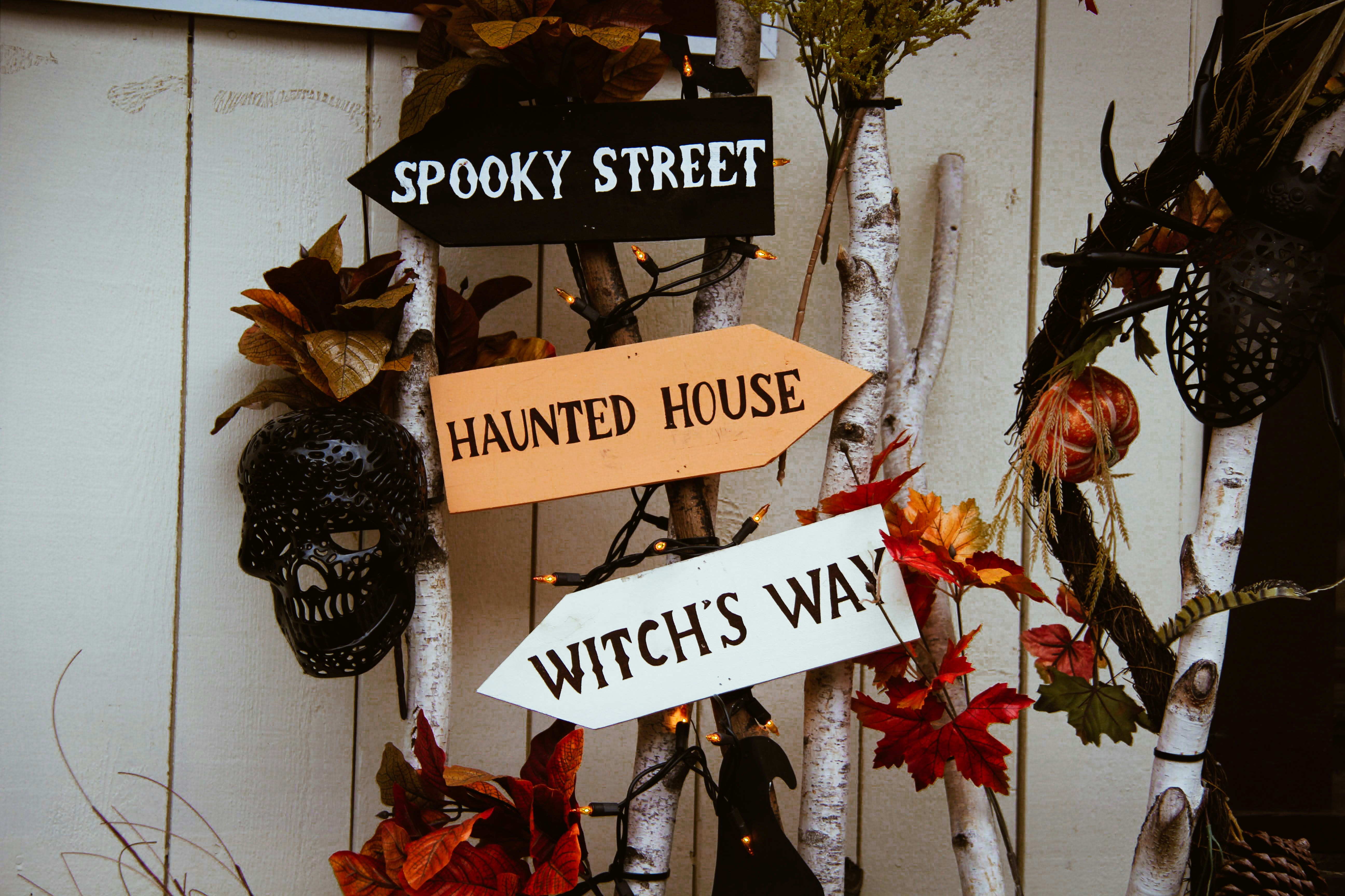 Halloween Illustration