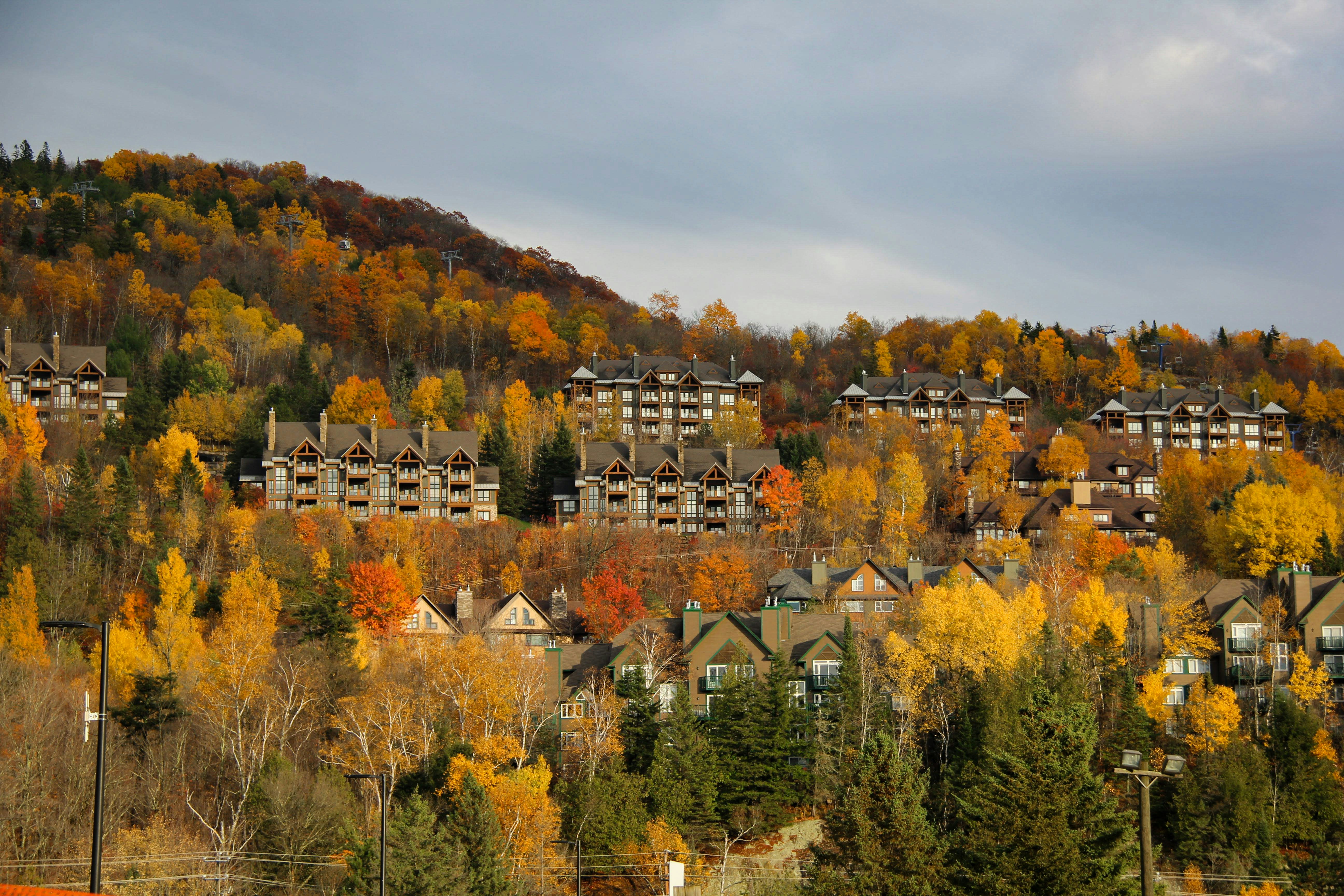 Autumn foliage surrounds buildings on a hillside.