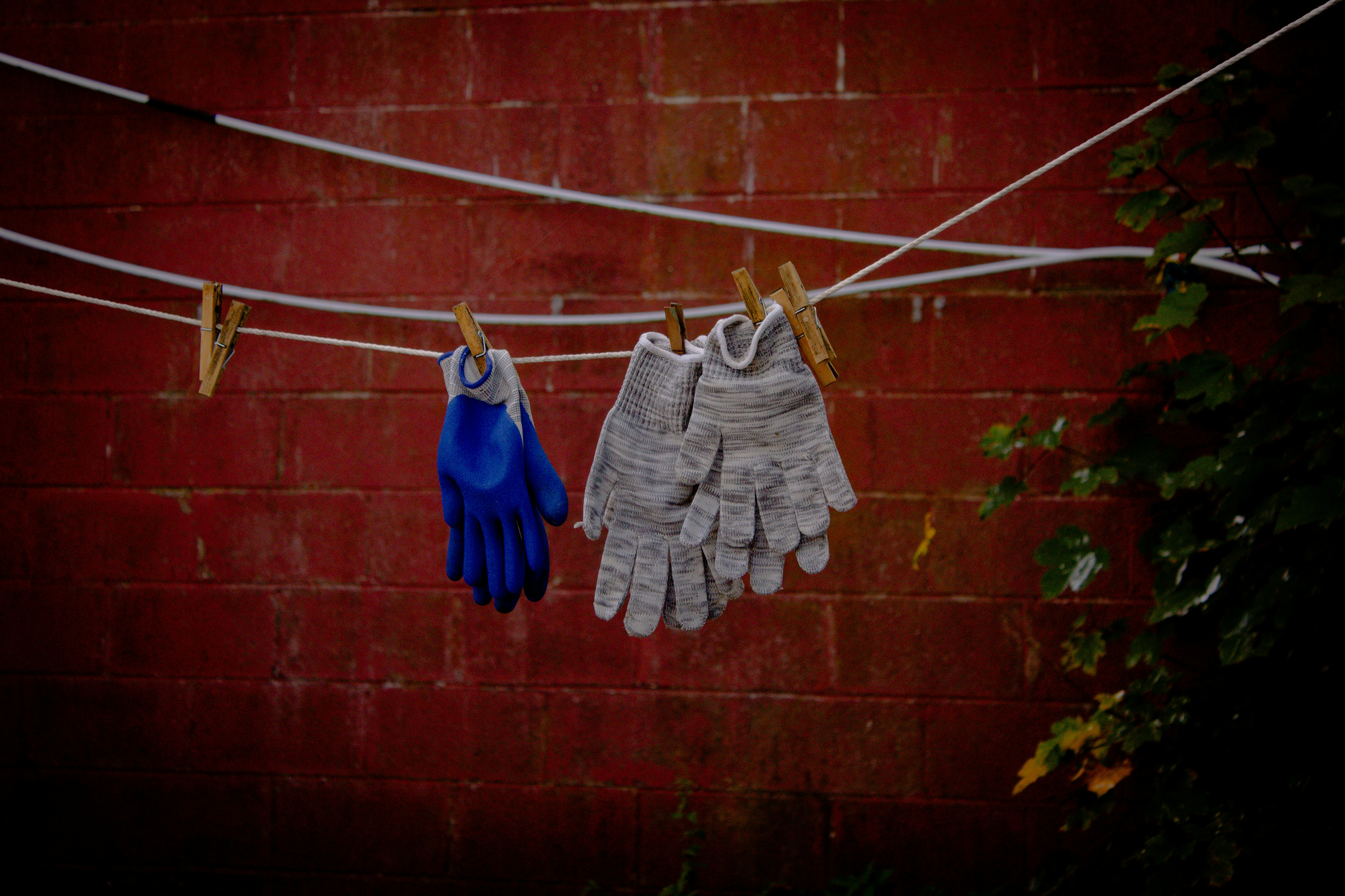 Work gloves drying on a clothesline