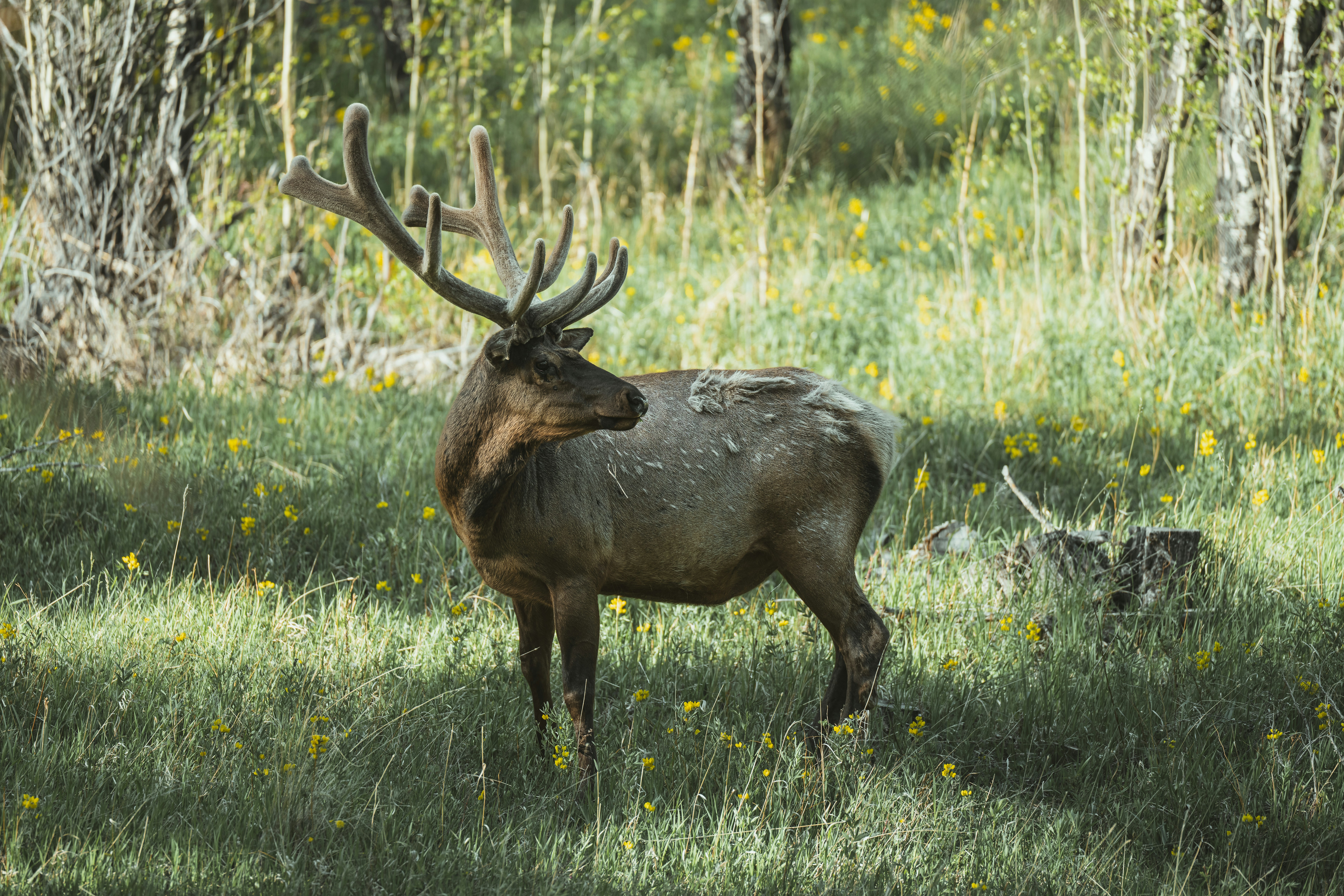 Photo by taylorwright22