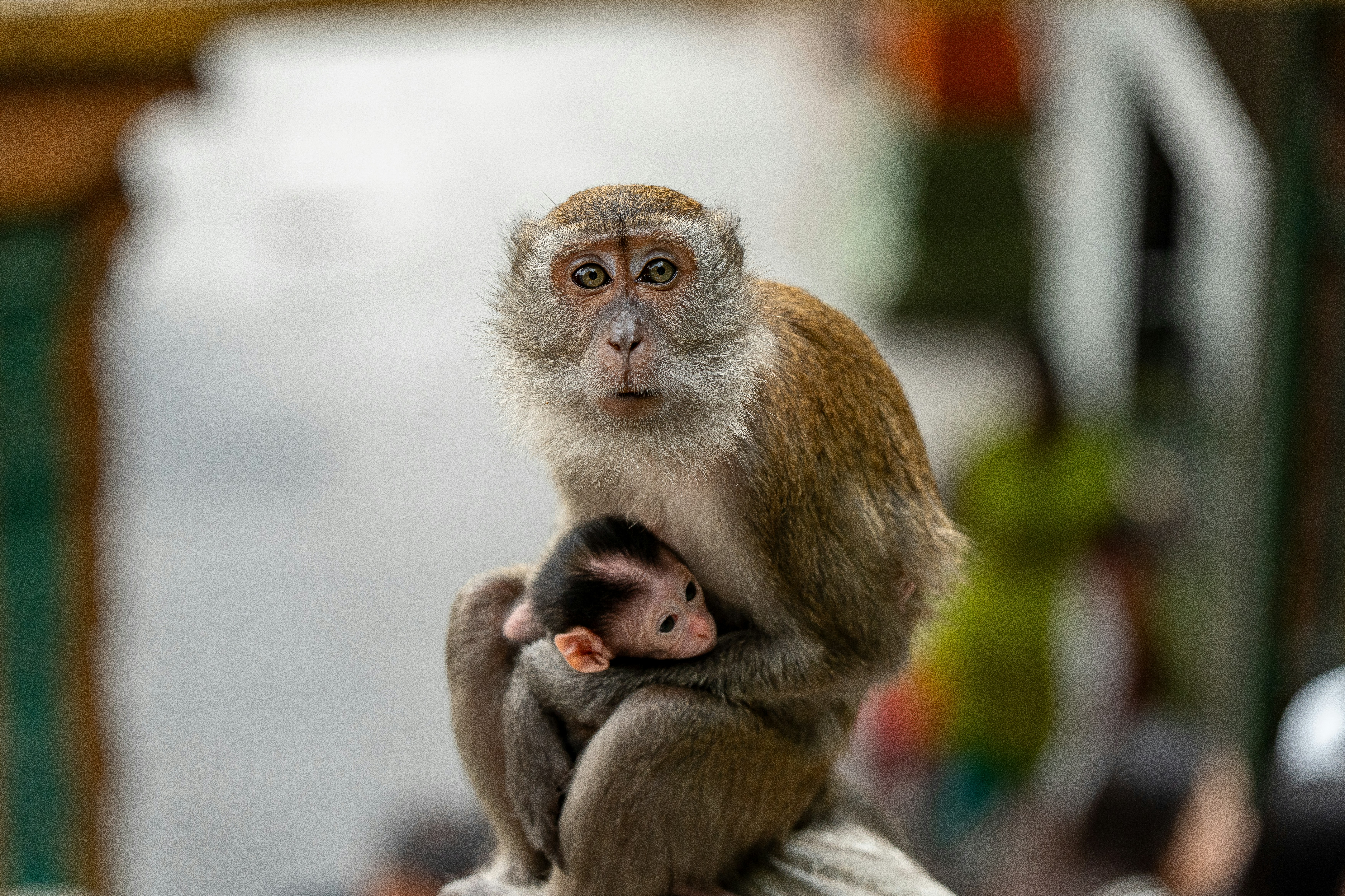 Photo by dannymycelium