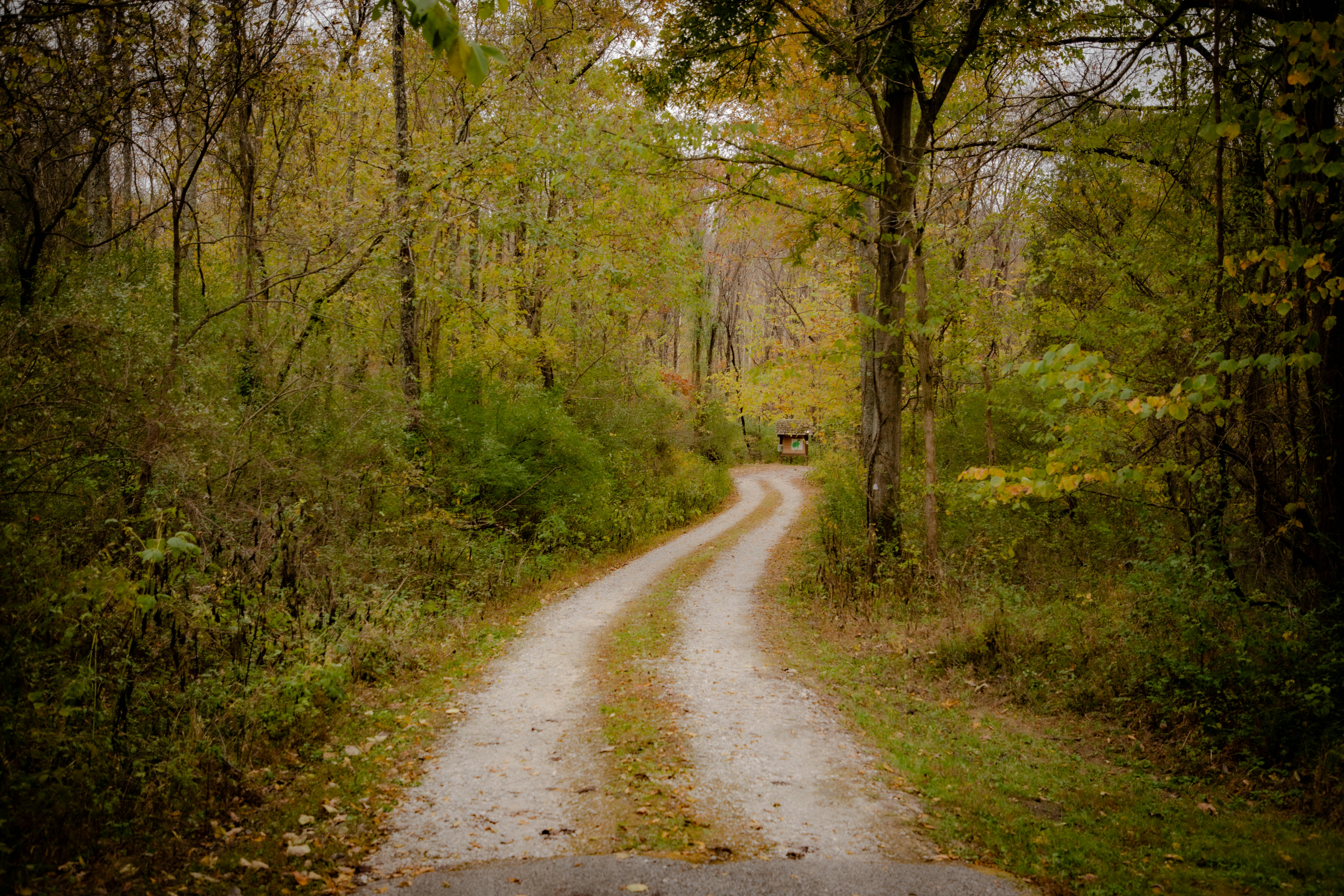 Photo by mitchbagnet