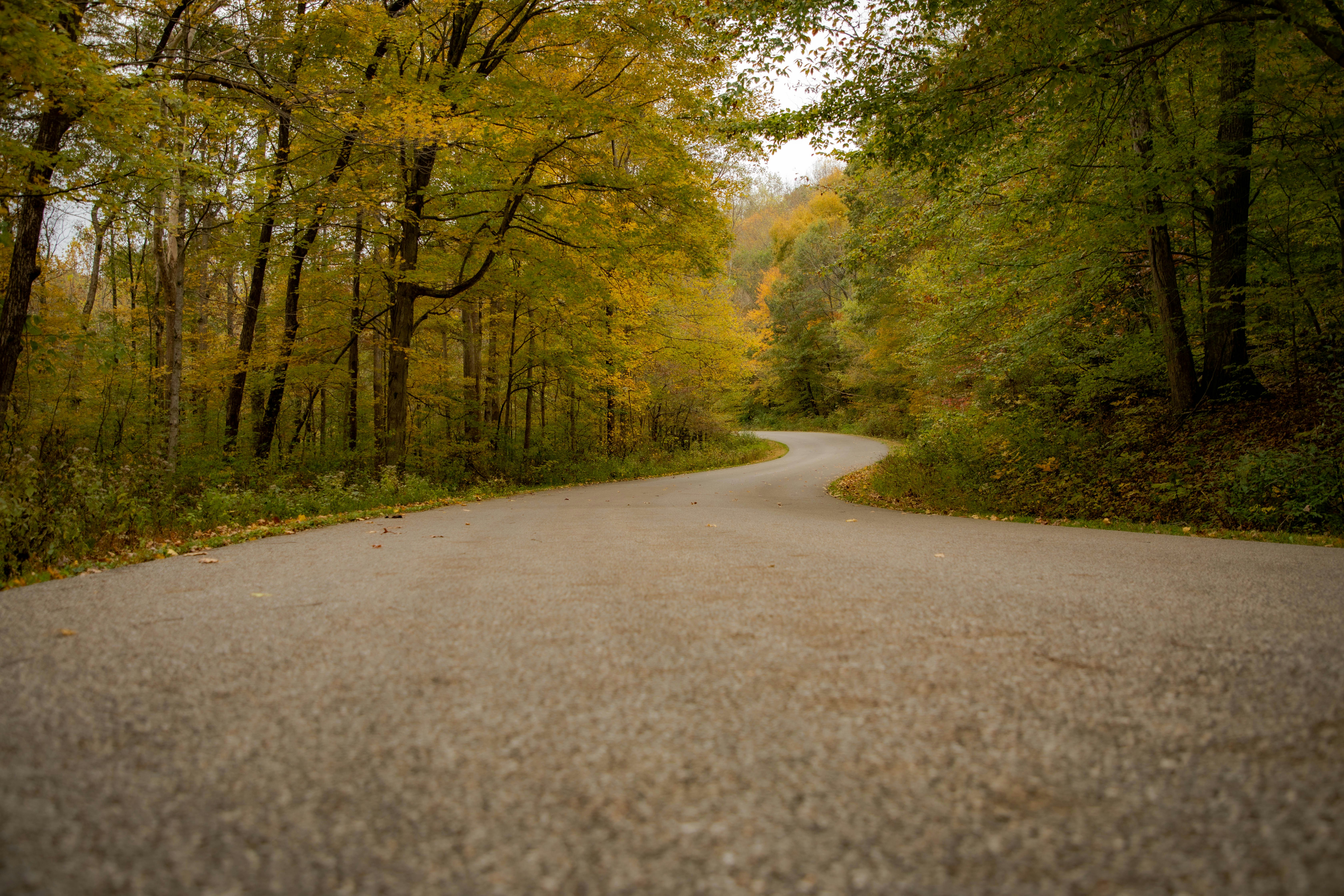 Photo by mitchbagnet