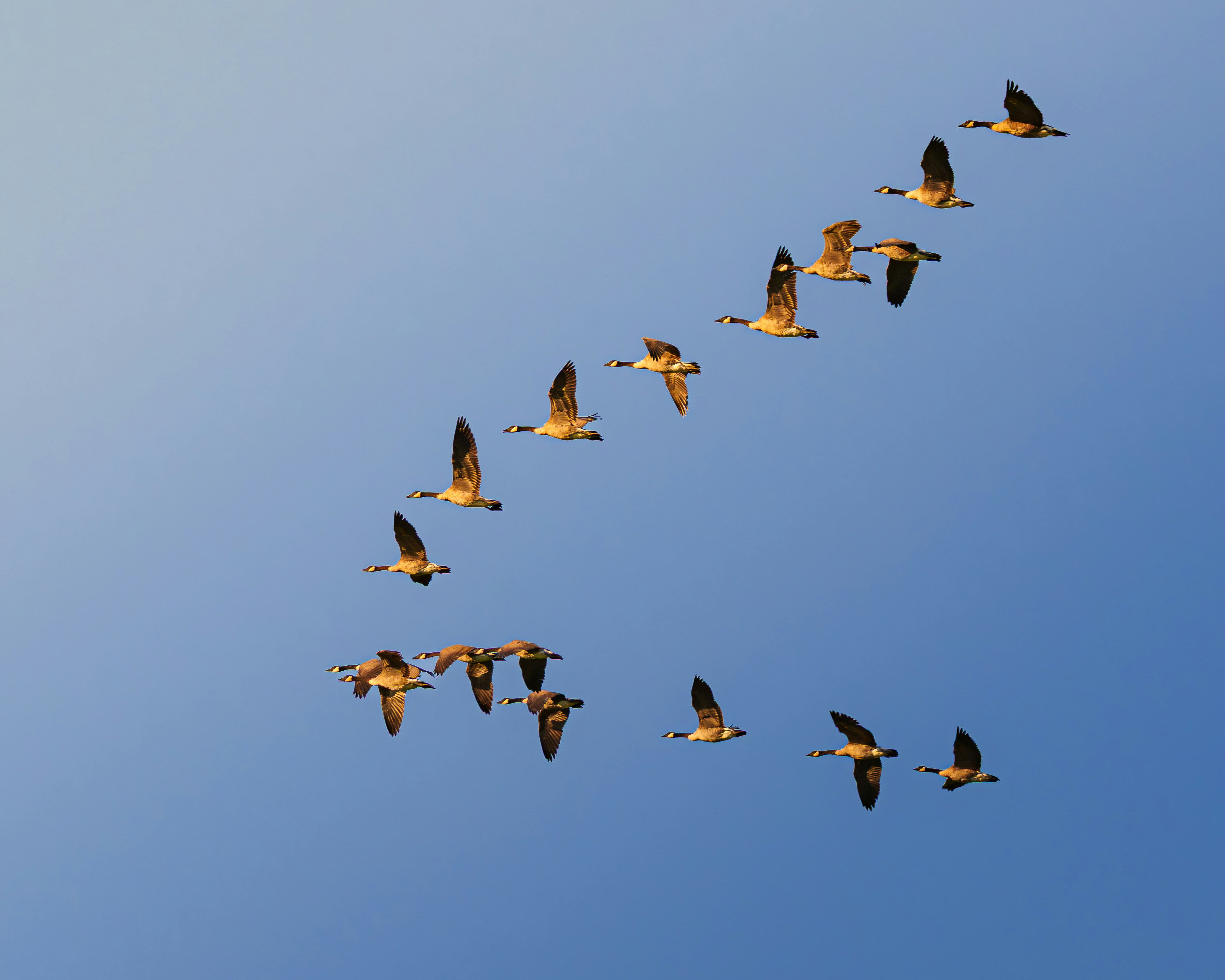 Photo by diljotbphotography