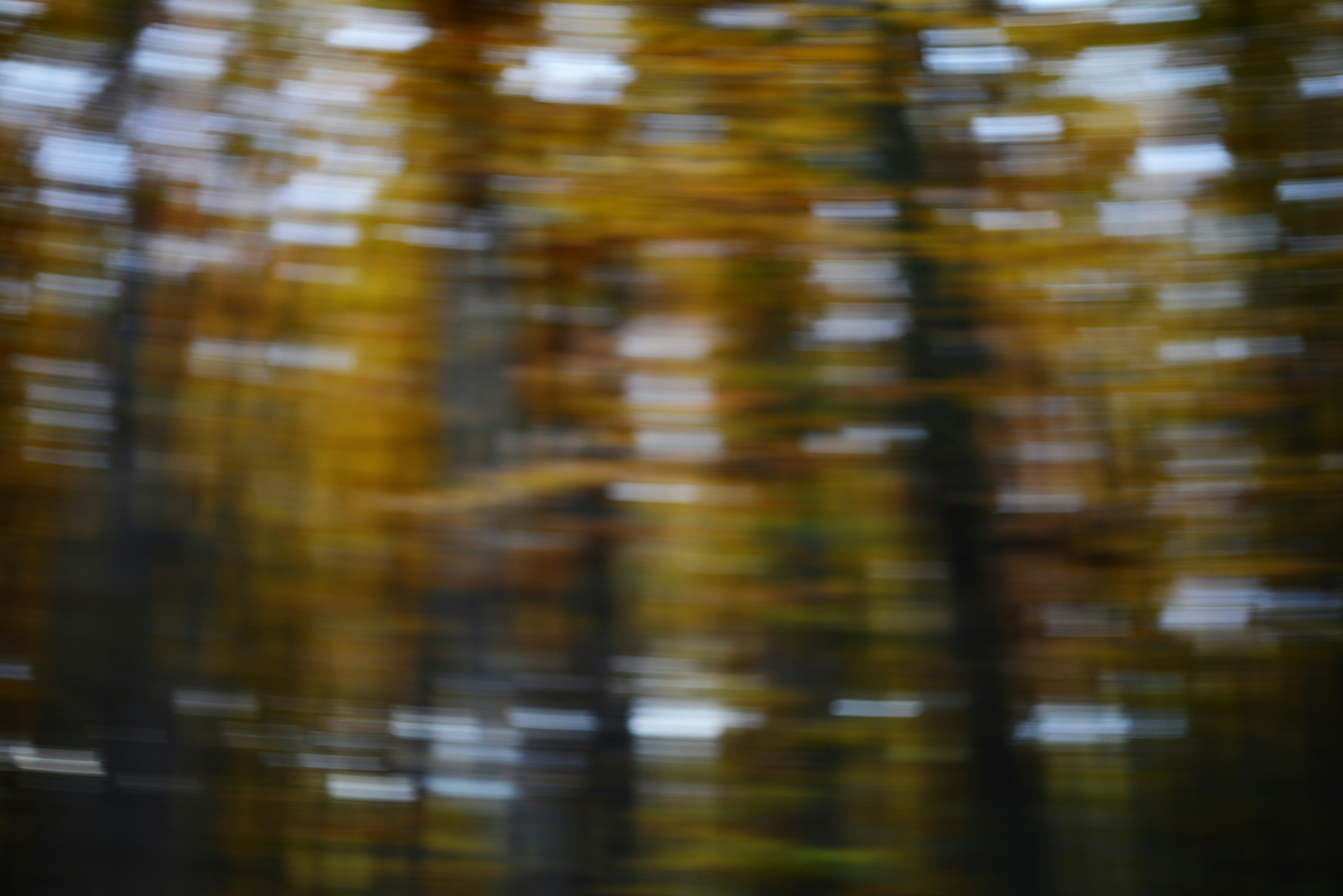 Photo by cherstve_pechivo