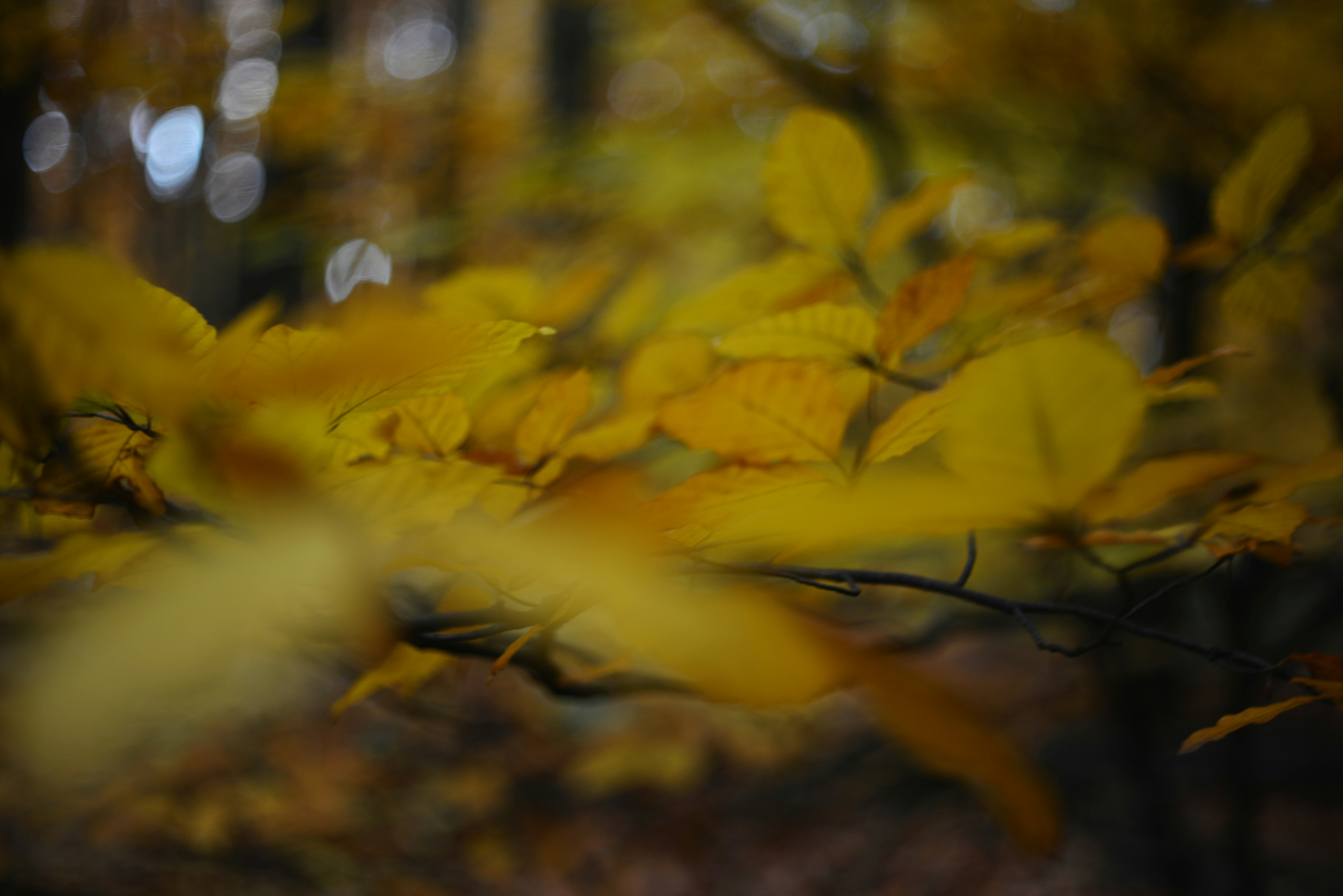 Photo by cherstve_pechivo