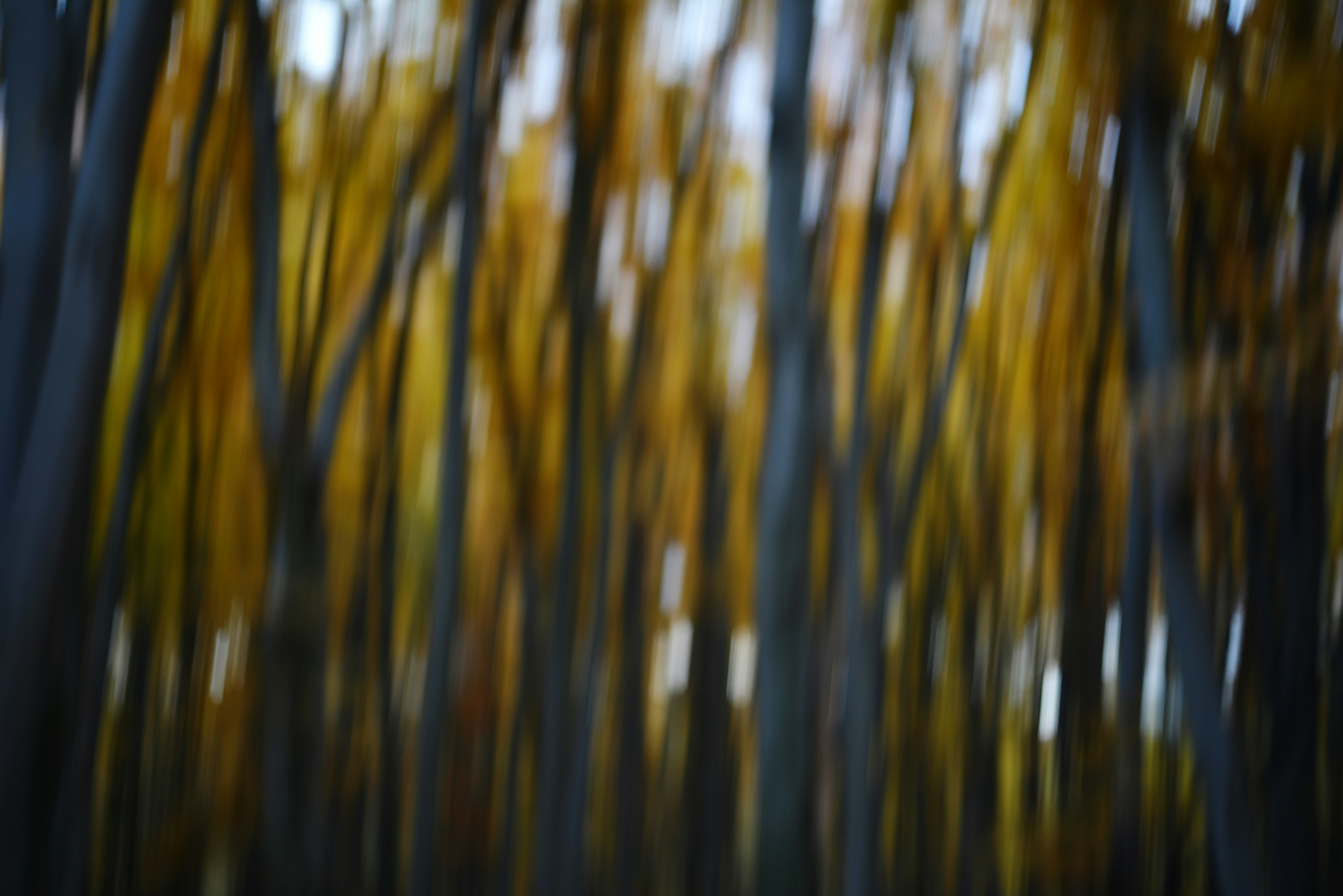 Photo by cherstve_pechivo