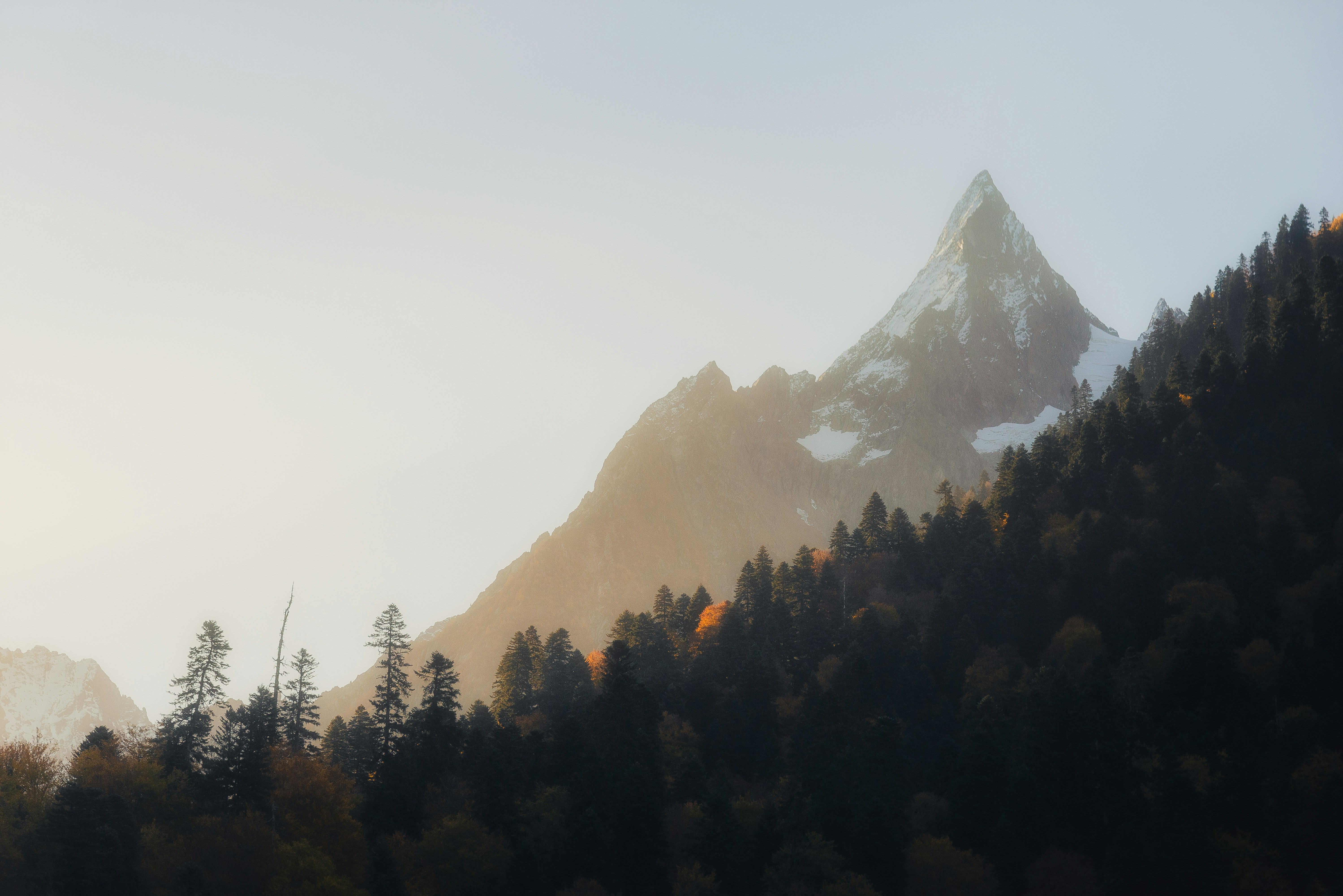 Functional Rheumatology Techniques For Autoimmune Problems