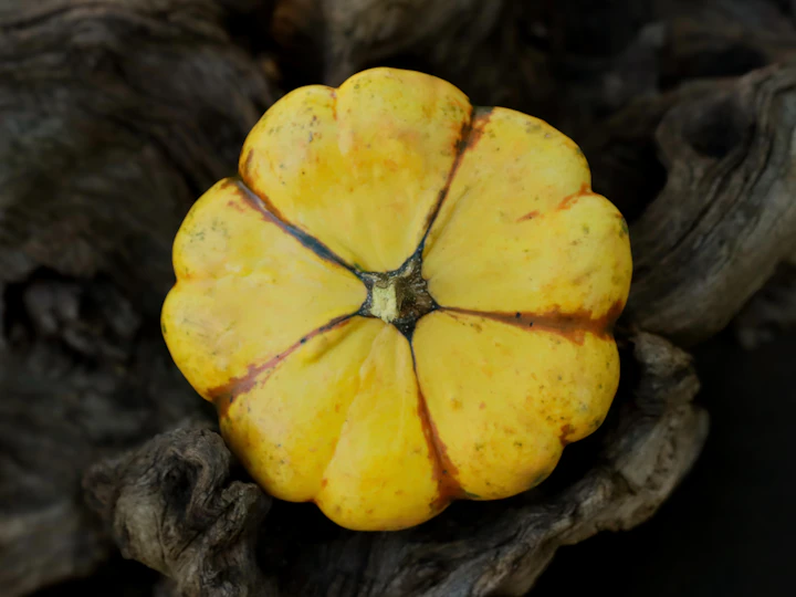 A delicata-style segmented winter squash on dark wood