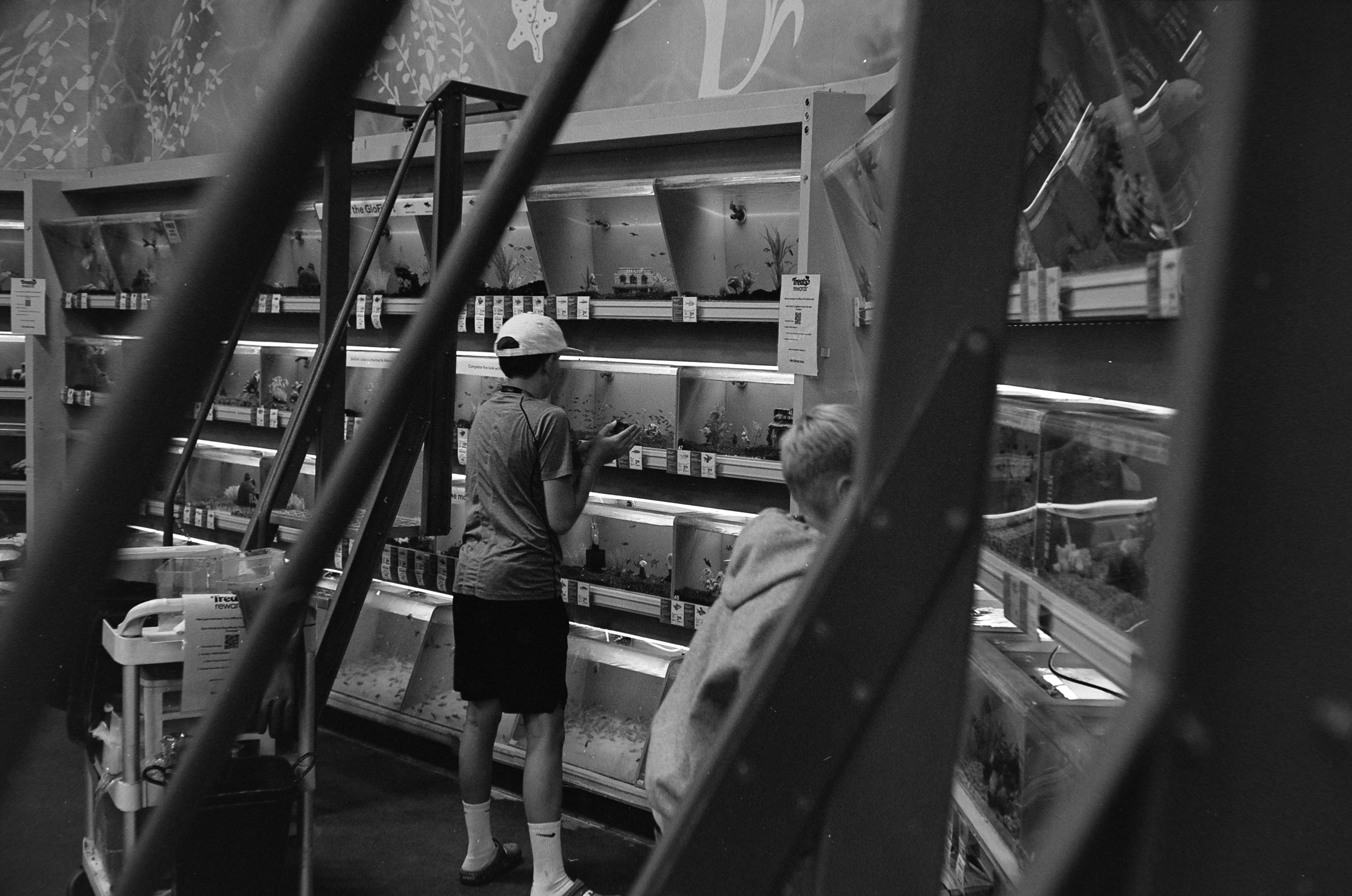 2026 Playbook: Scaling Pet Retail with Hybrid Micro‑Shops, Subscription Resilience, and Edge‑First Checkout